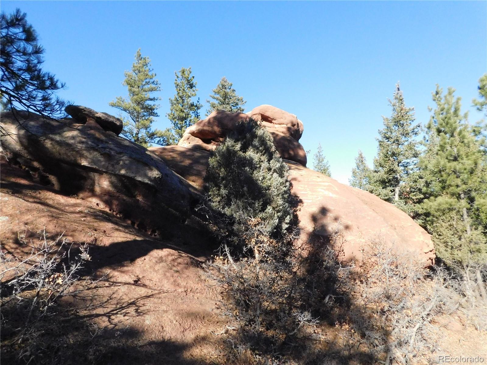 6294 Troon Court Larkspur CO 80118