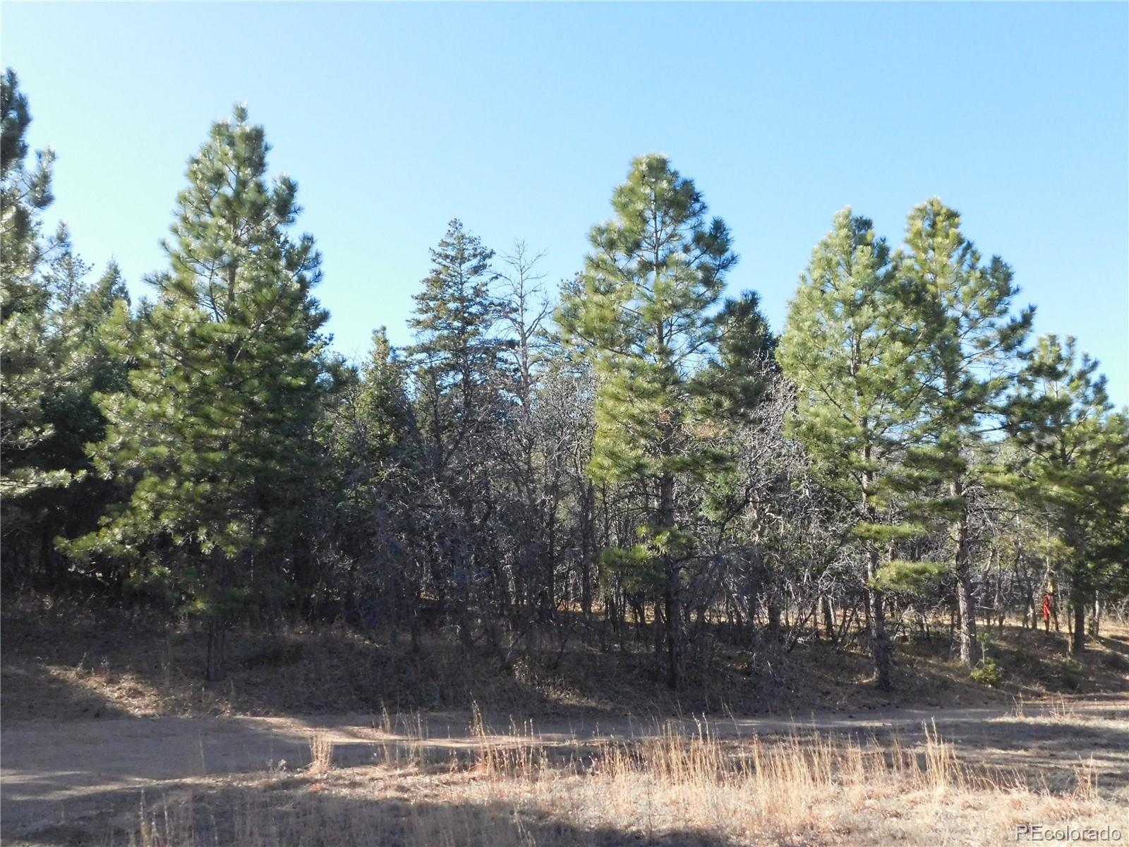 6294 Troon Court Larkspur CO 80118