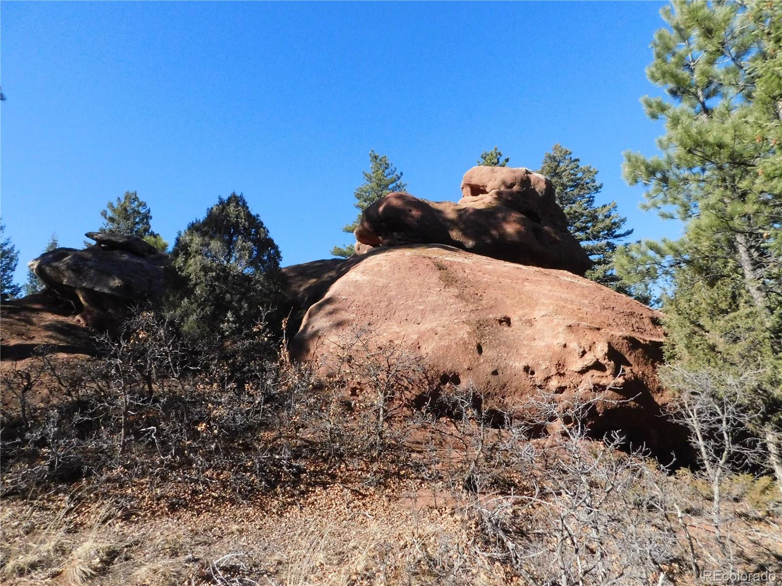 6294 Troon Court Larkspur CO 80118