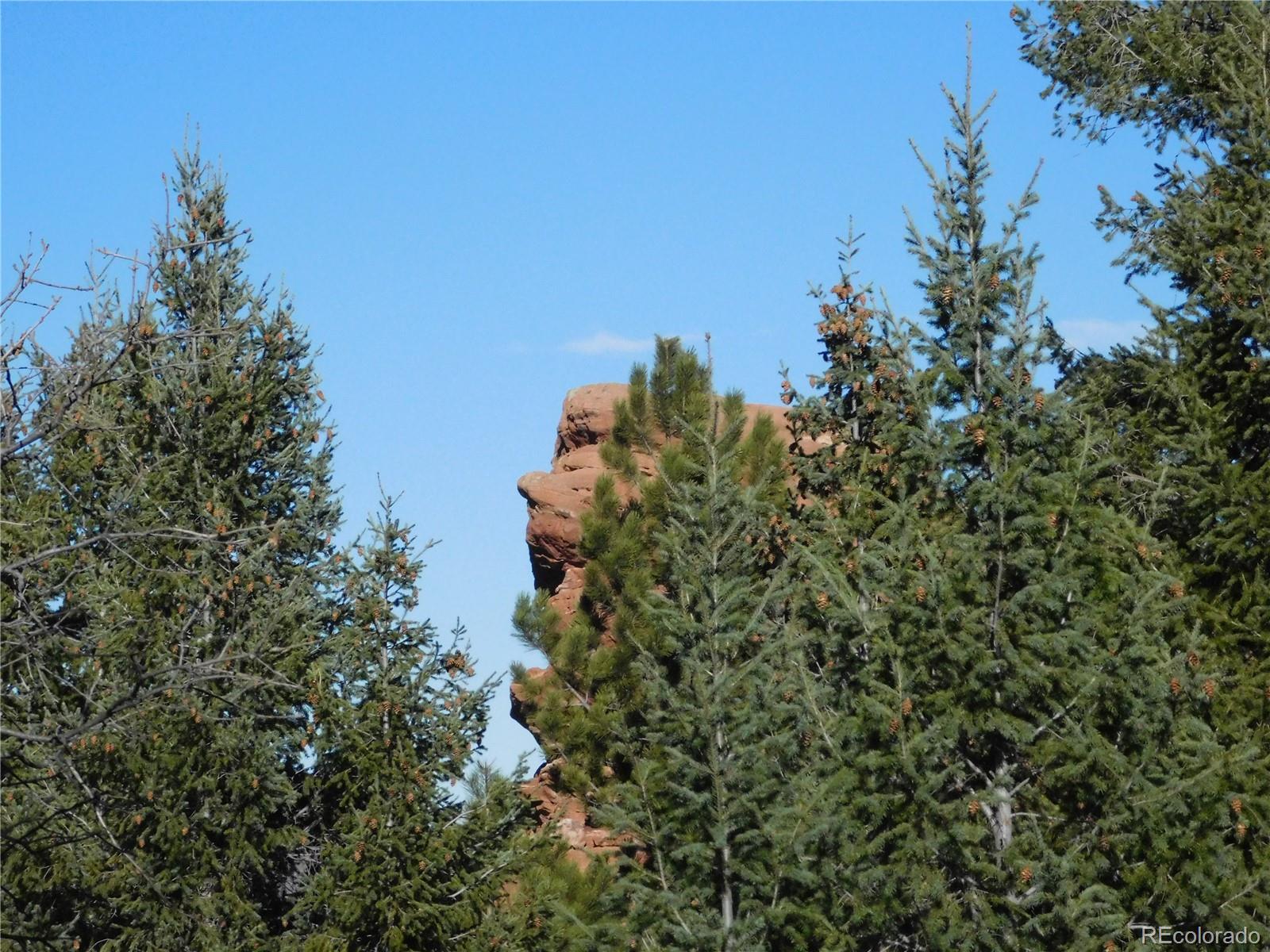 6294 Troon Court Larkspur CO 80118