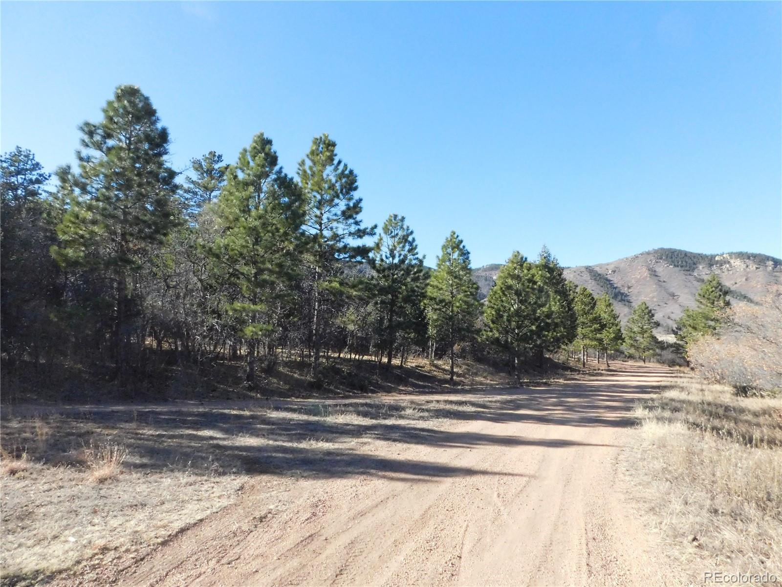 6294 Troon Court Larkspur CO 80118