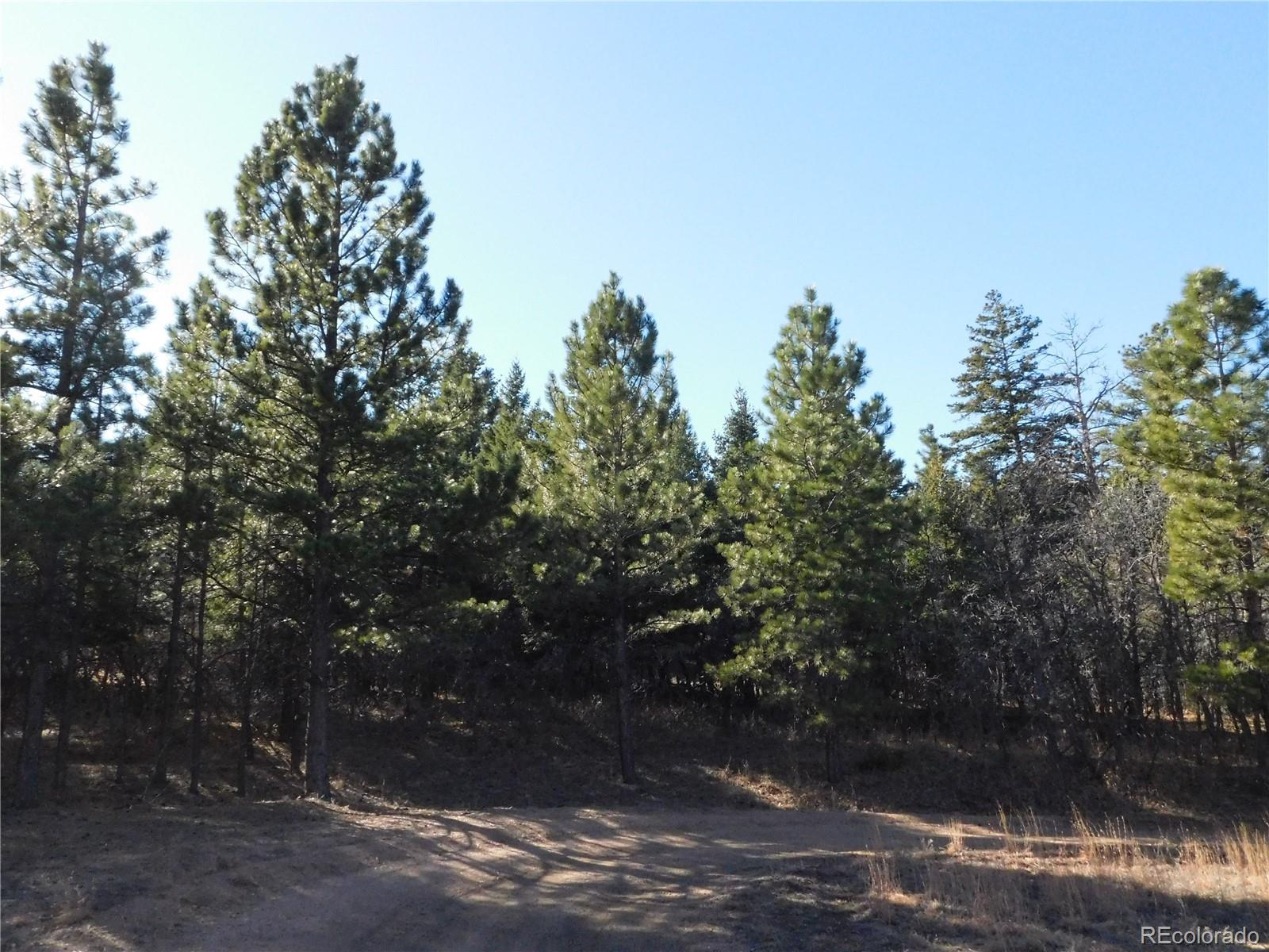 6294 Troon Court Larkspur CO 80118