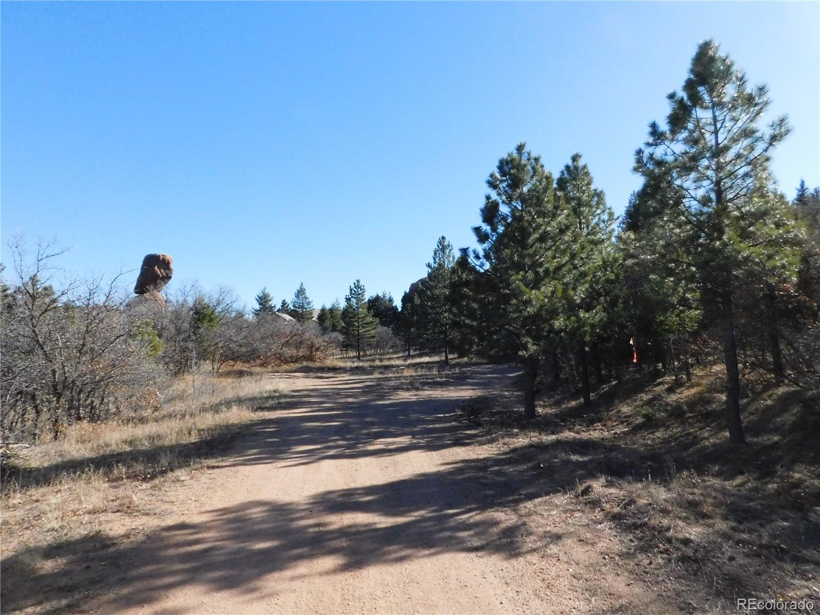 6294 Troon Court Larkspur CO 80118