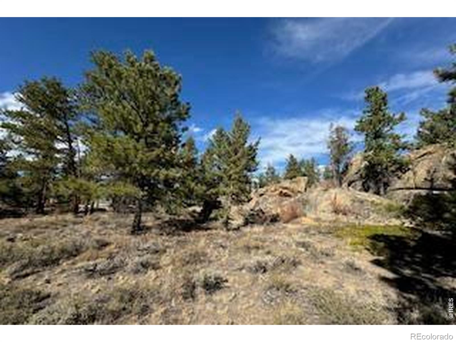2921 Fox Acres Drive E Red Feather Lakes CO 80545