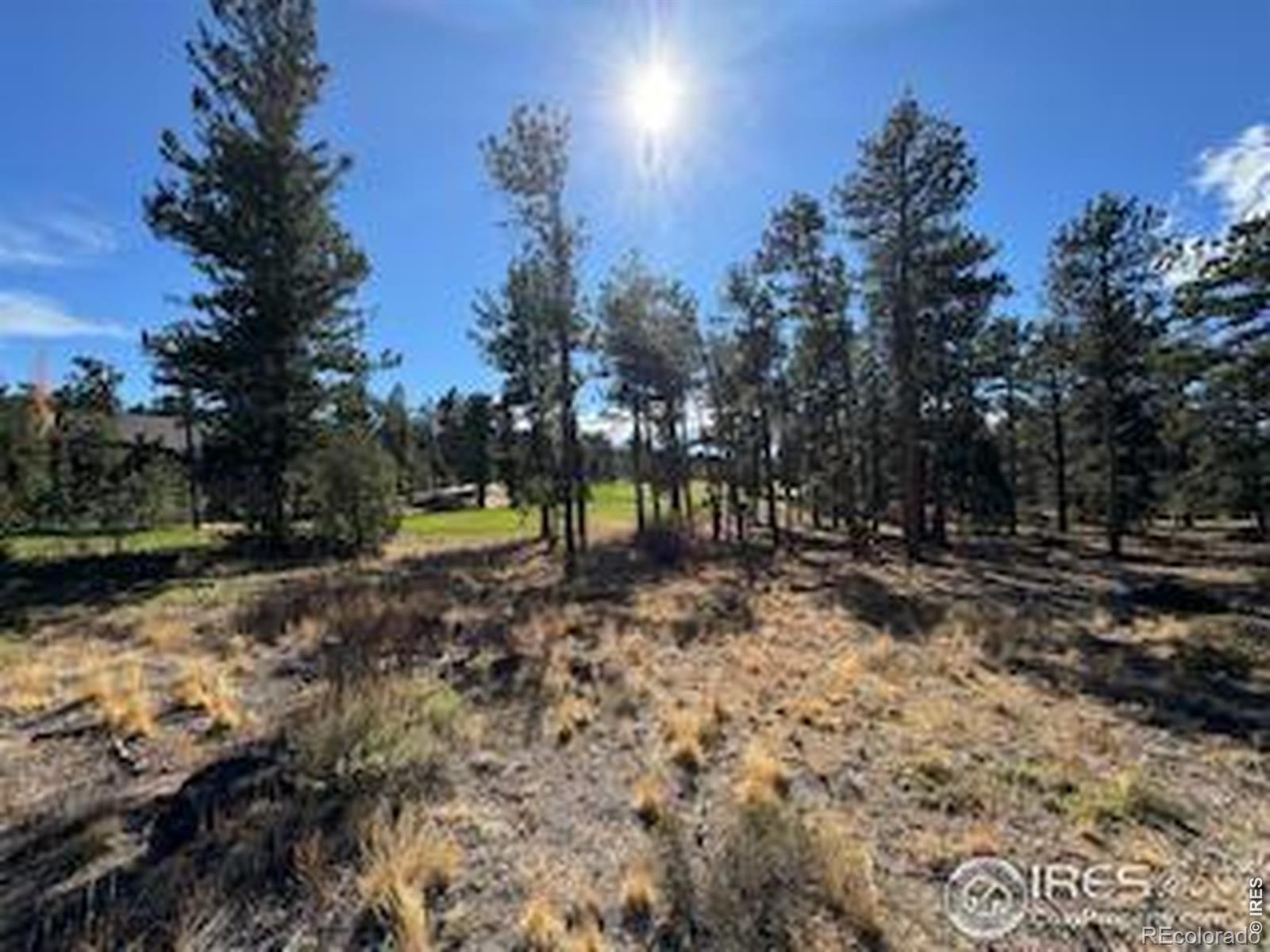 2921 Fox Acres Drive E Red Feather Lakes CO 80545