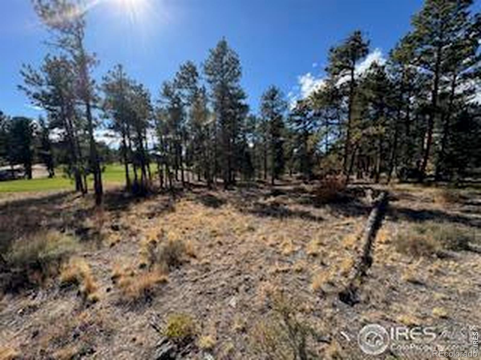 2921 Fox Acres Drive E Red Feather Lakes CO 80545