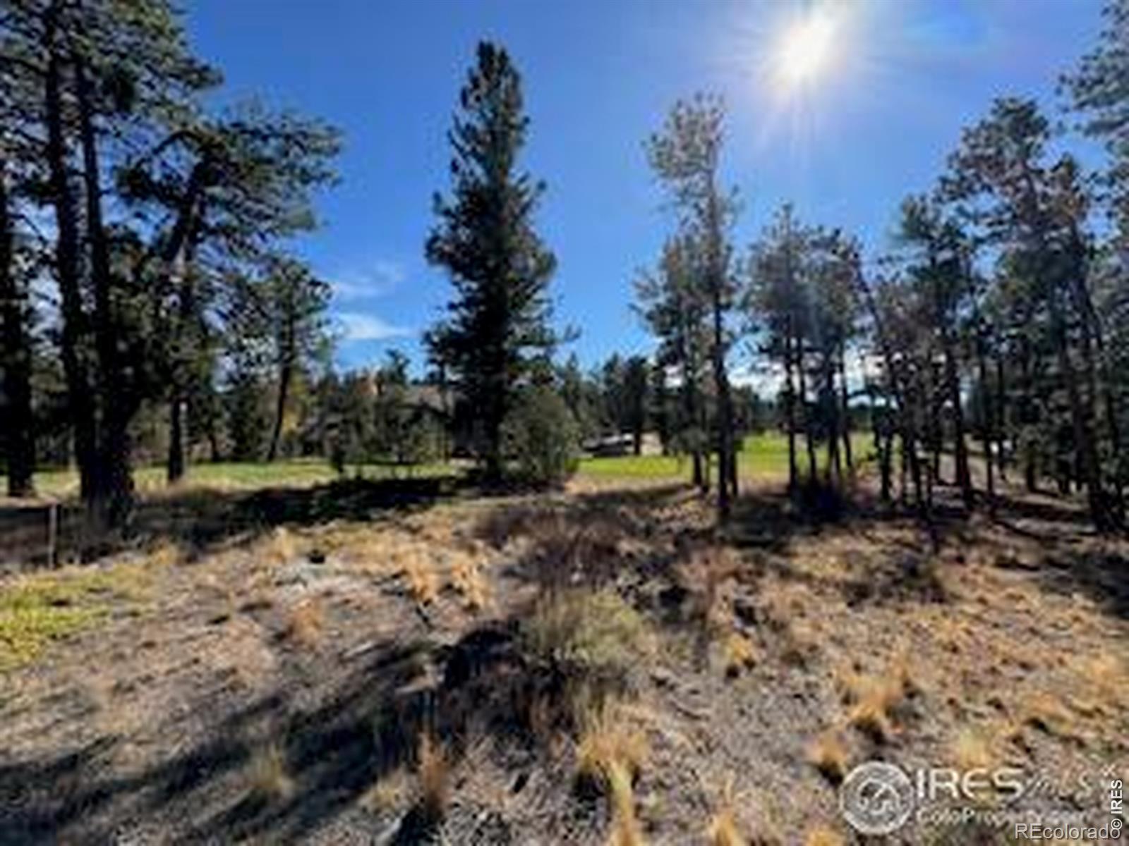 2921 Fox Acres Drive E Red Feather Lakes CO 80545