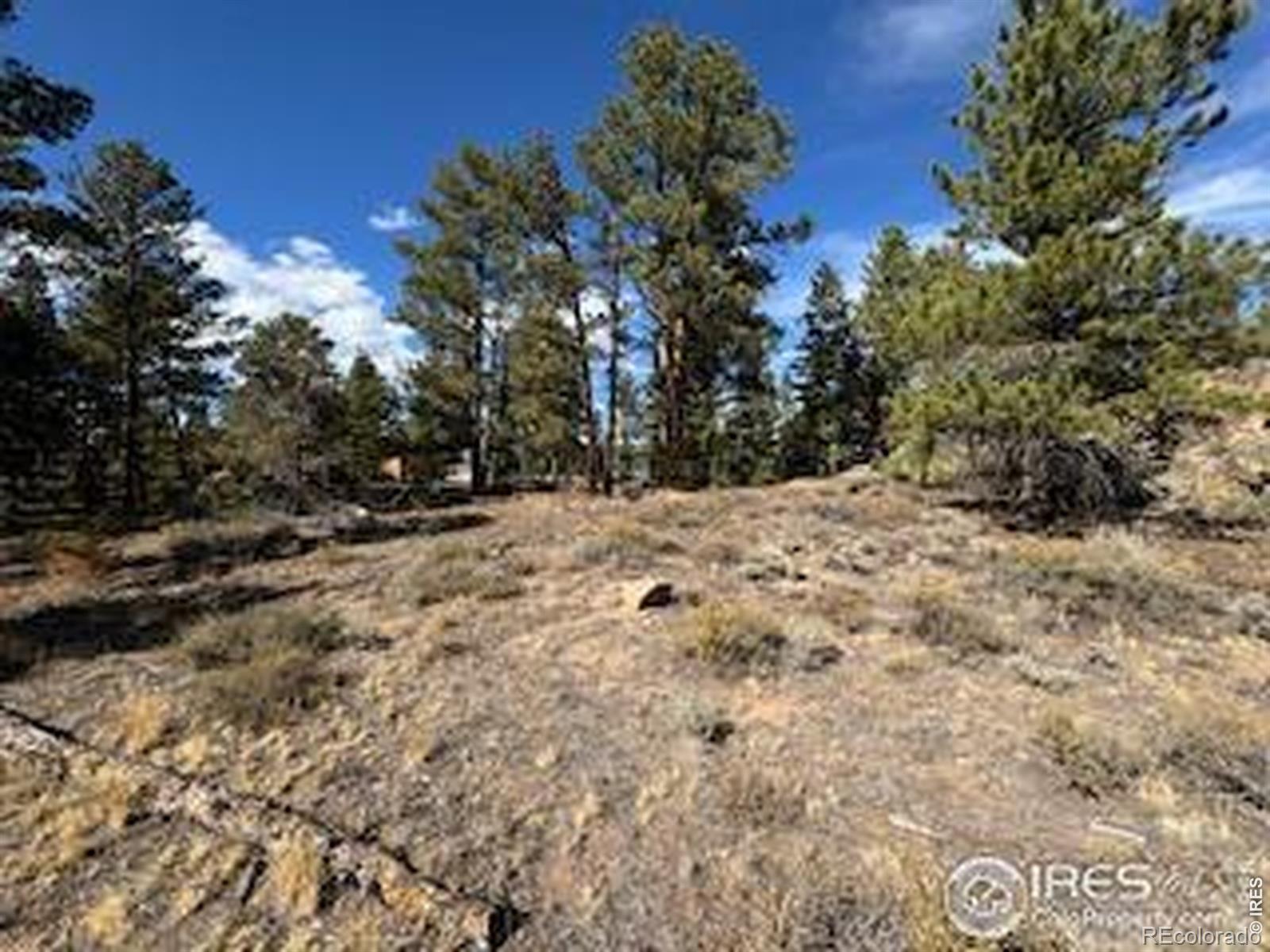 2921 Fox Acres Drive E Red Feather Lakes CO 80545