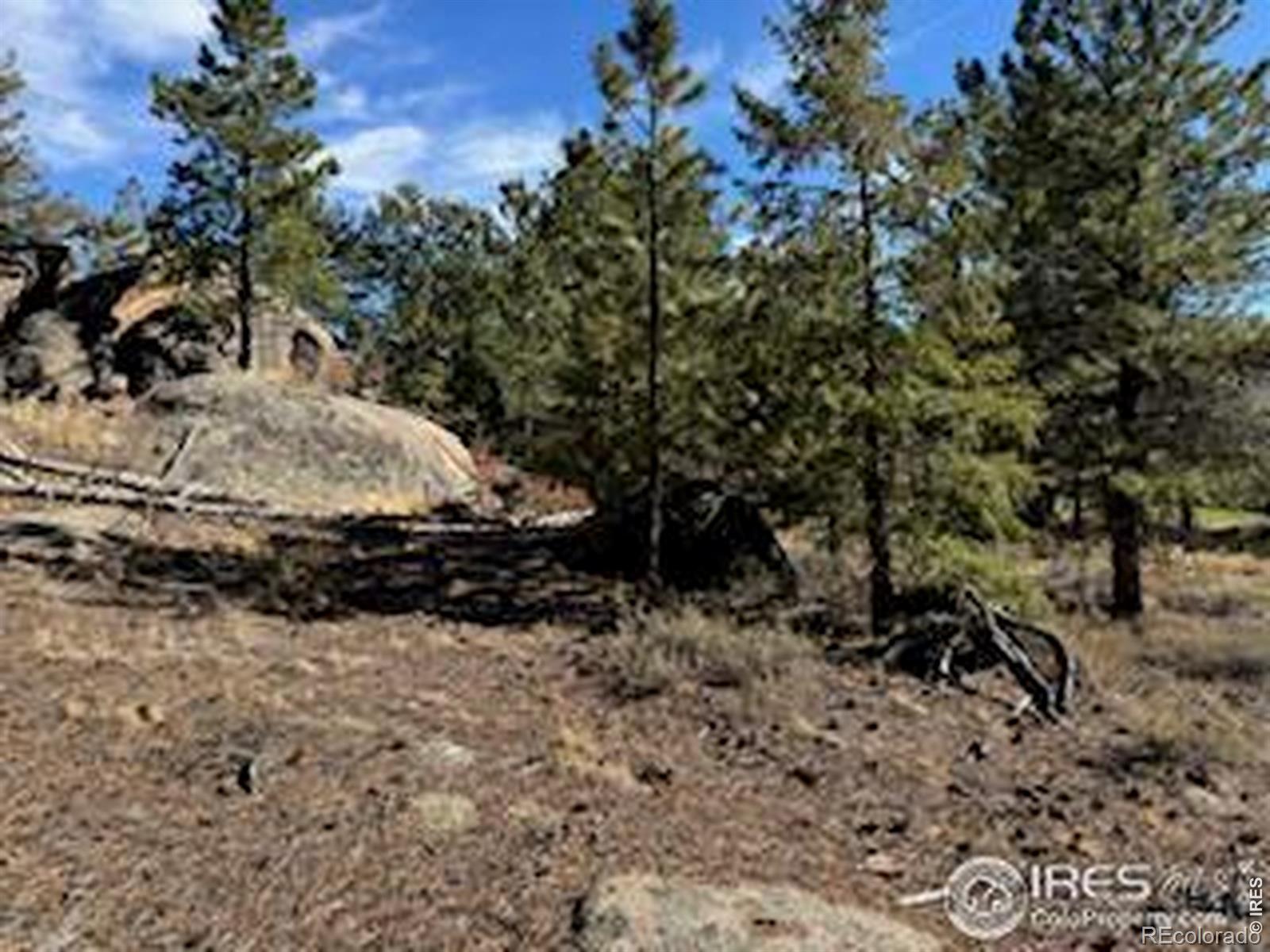 2921 Fox Acres Drive E Red Feather Lakes CO 80545
