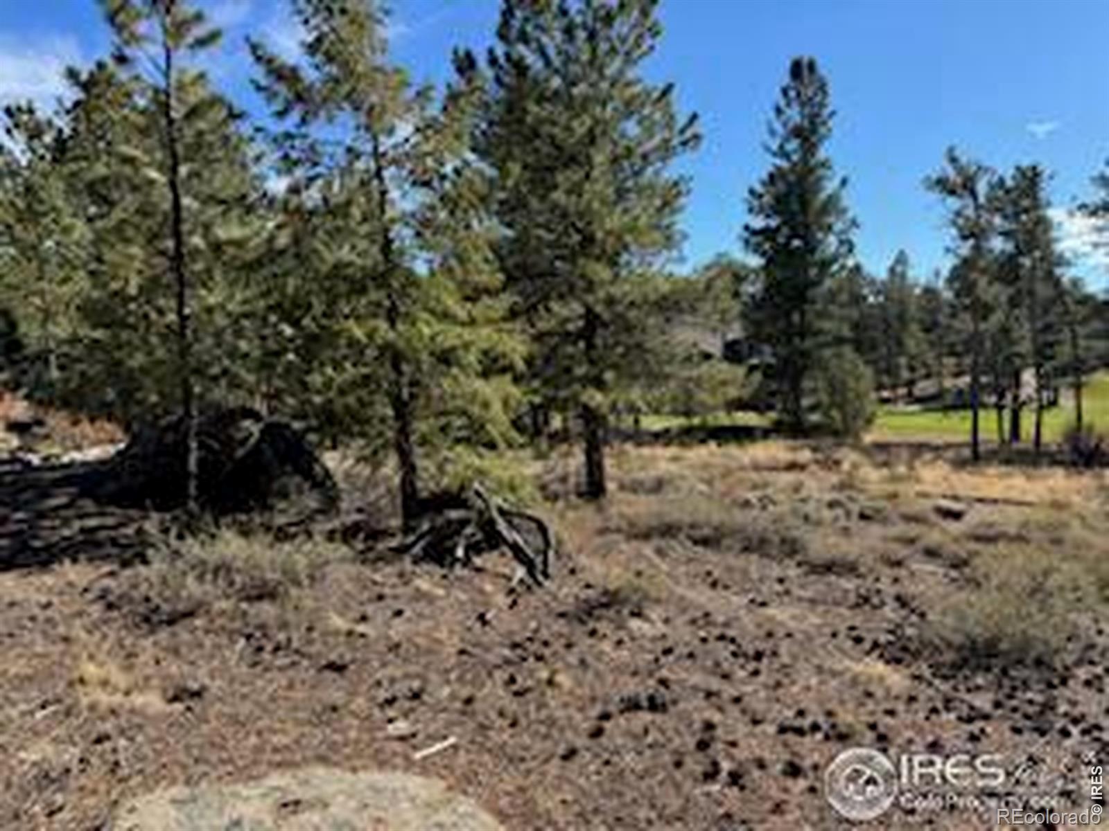 2921 Fox Acres Drive E Red Feather Lakes CO 80545