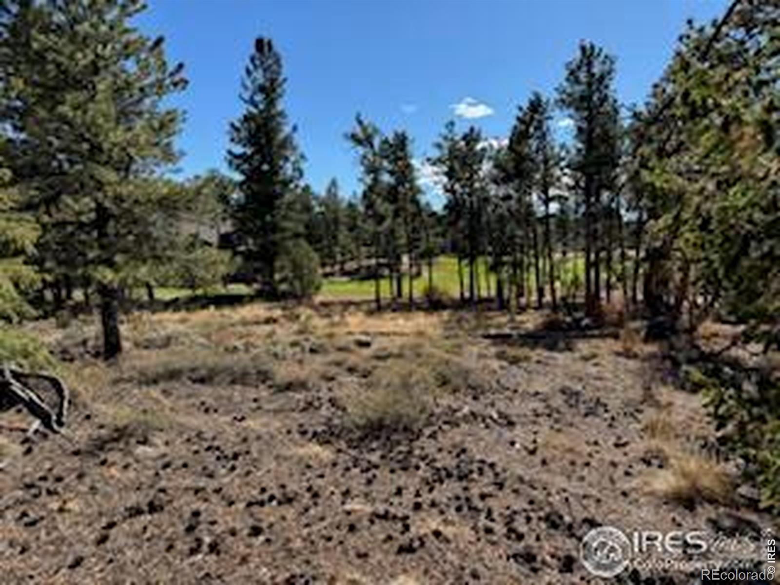 2921 Fox Acres Drive E Red Feather Lakes CO 80545