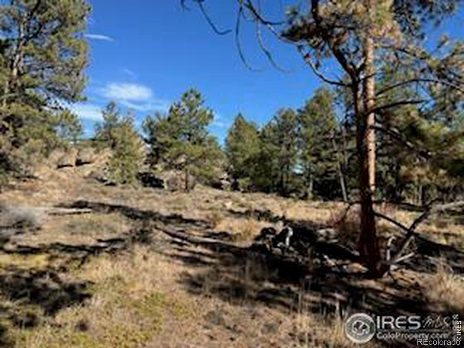 2921 Fox Acres Drive E Red Feather Lakes CO 80545