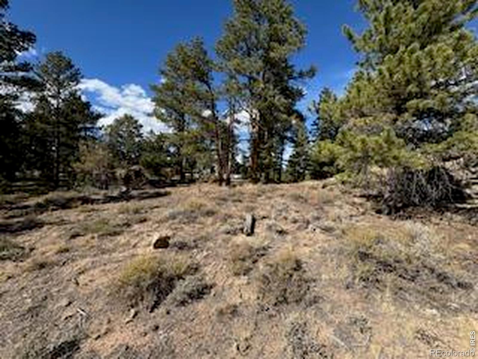 2921 Fox Acres Drive E Red Feather Lakes CO 80545