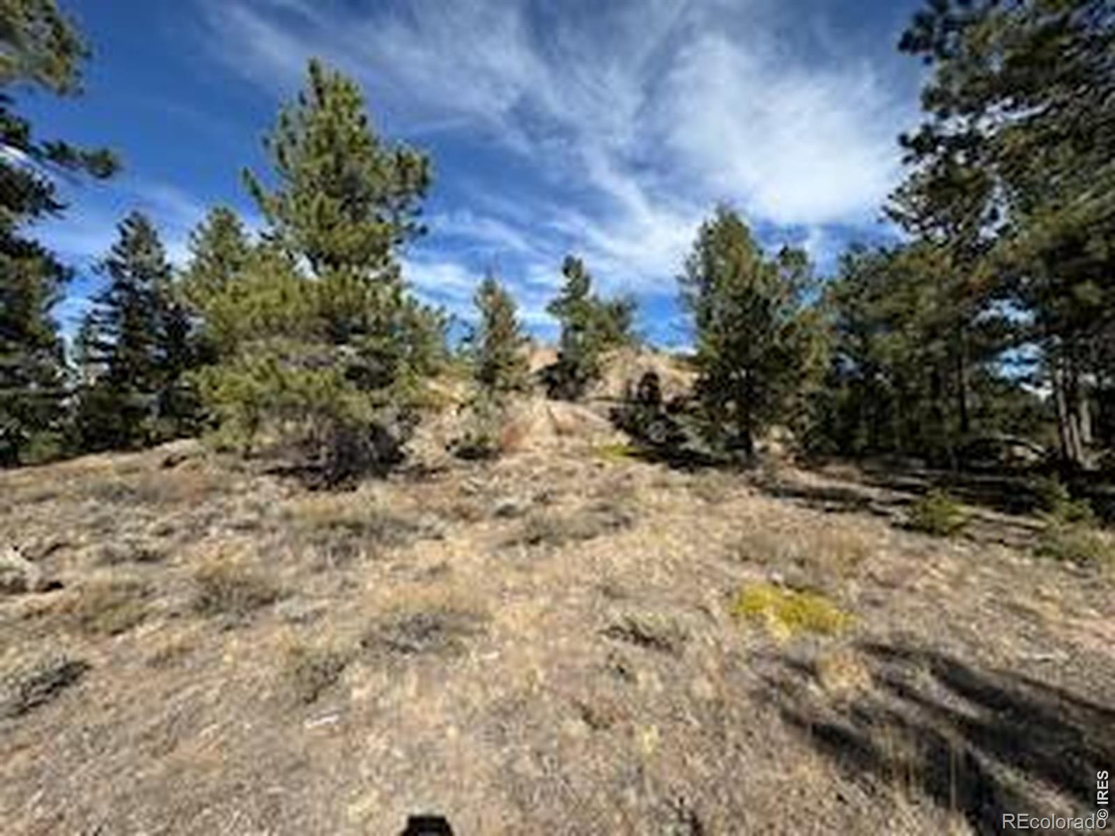 2921 Fox Acres Drive E Red Feather Lakes CO 80545