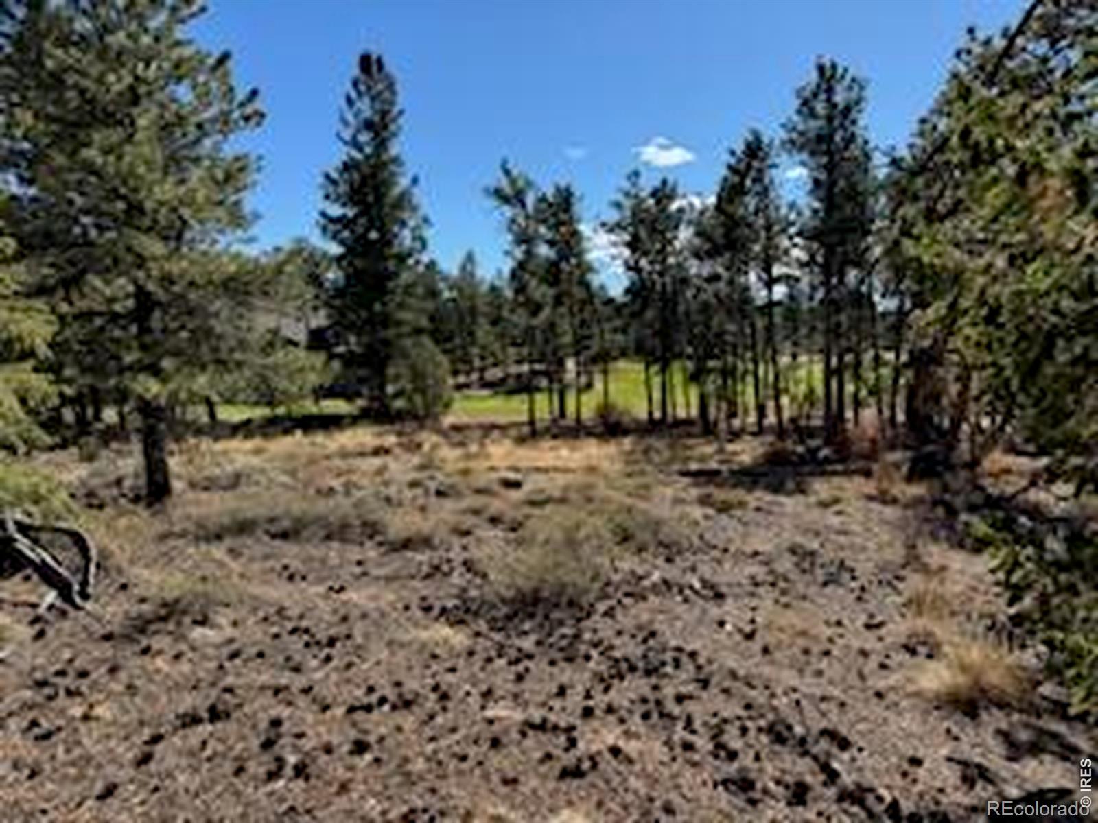 2921 Fox Acres Drive E Red Feather Lakes CO 80545