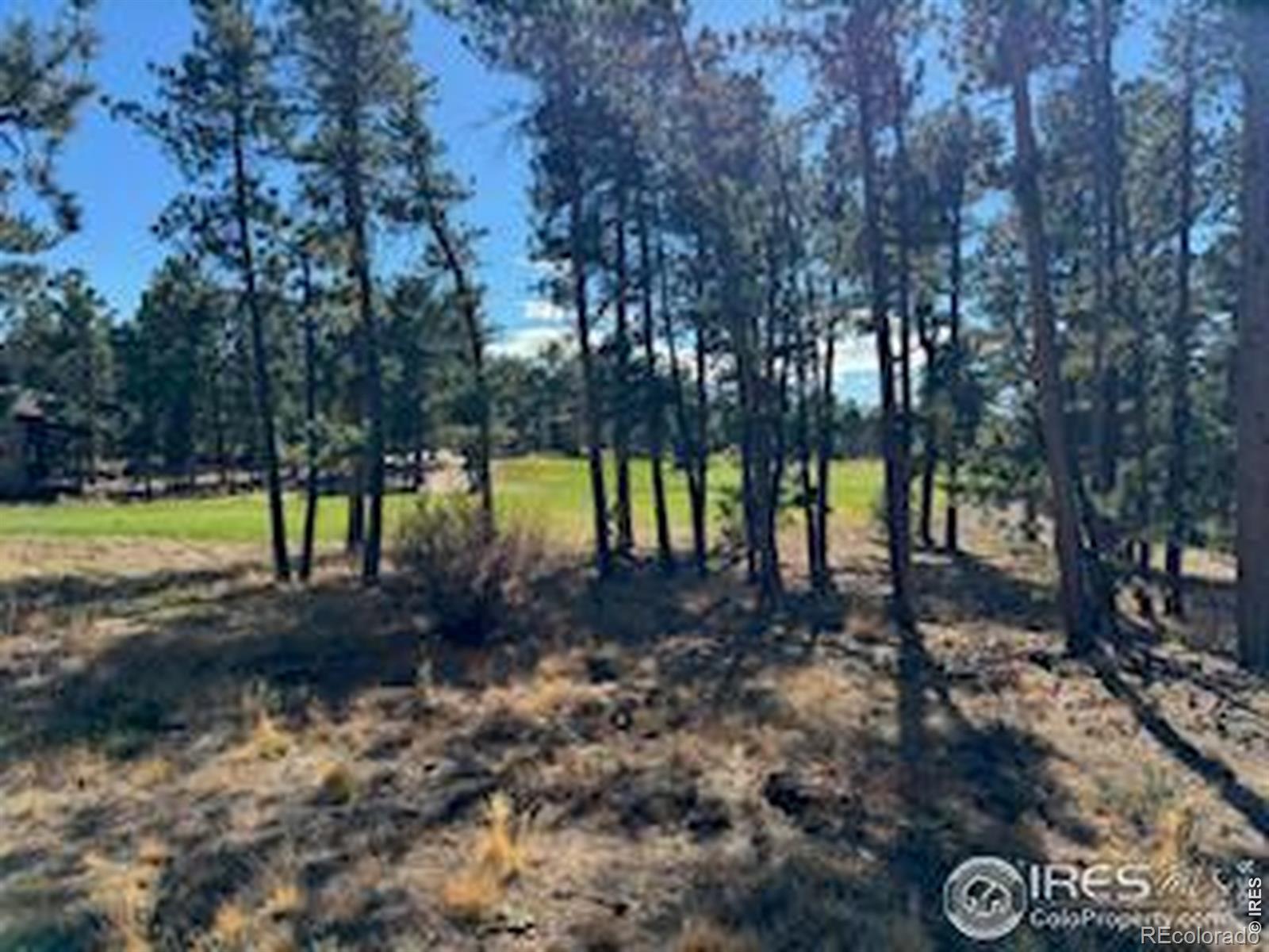 2921 Fox Acres Drive E Red Feather Lakes CO 80545