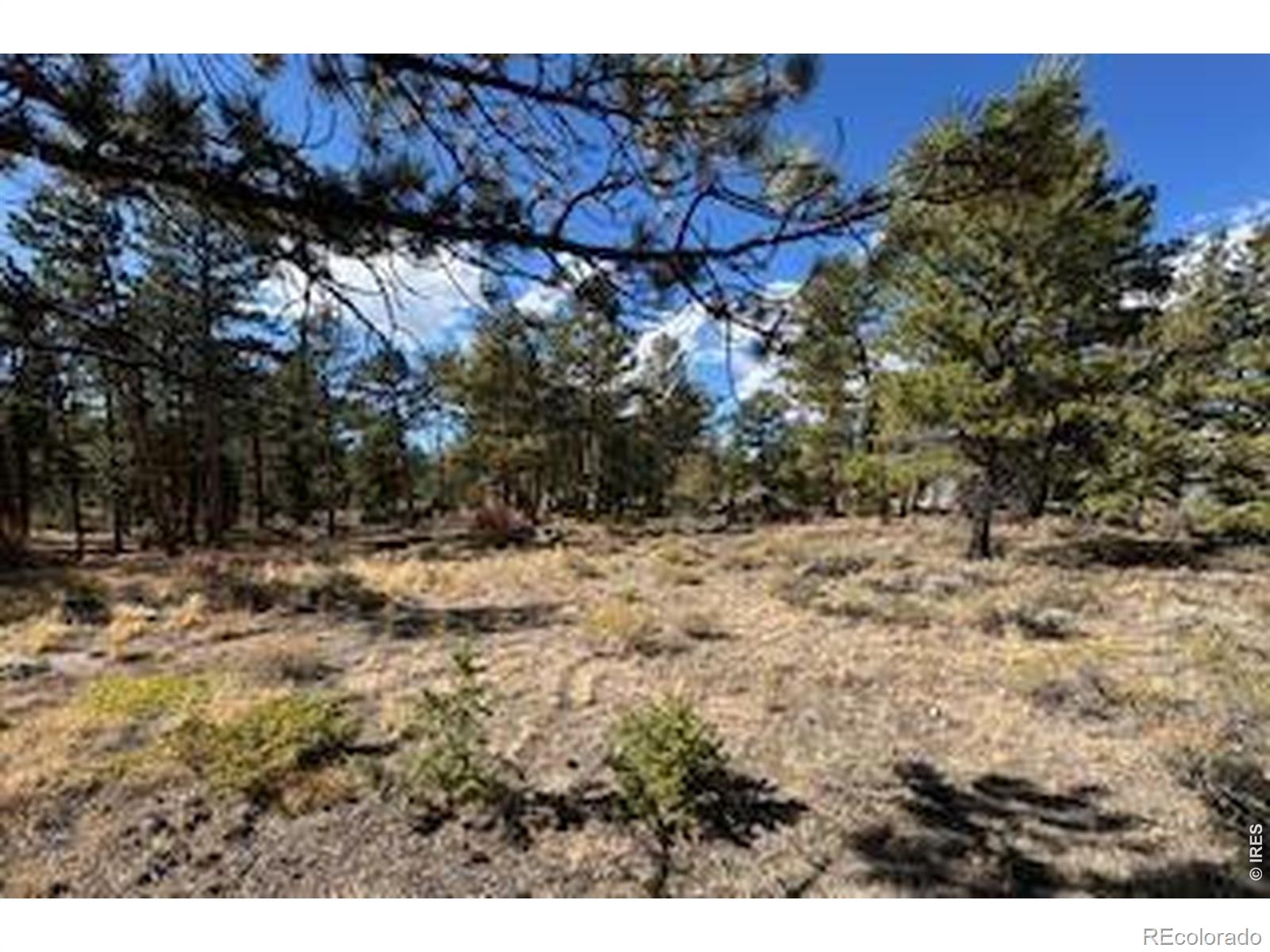 2921 Fox Acres Drive E Red Feather Lakes CO 80545