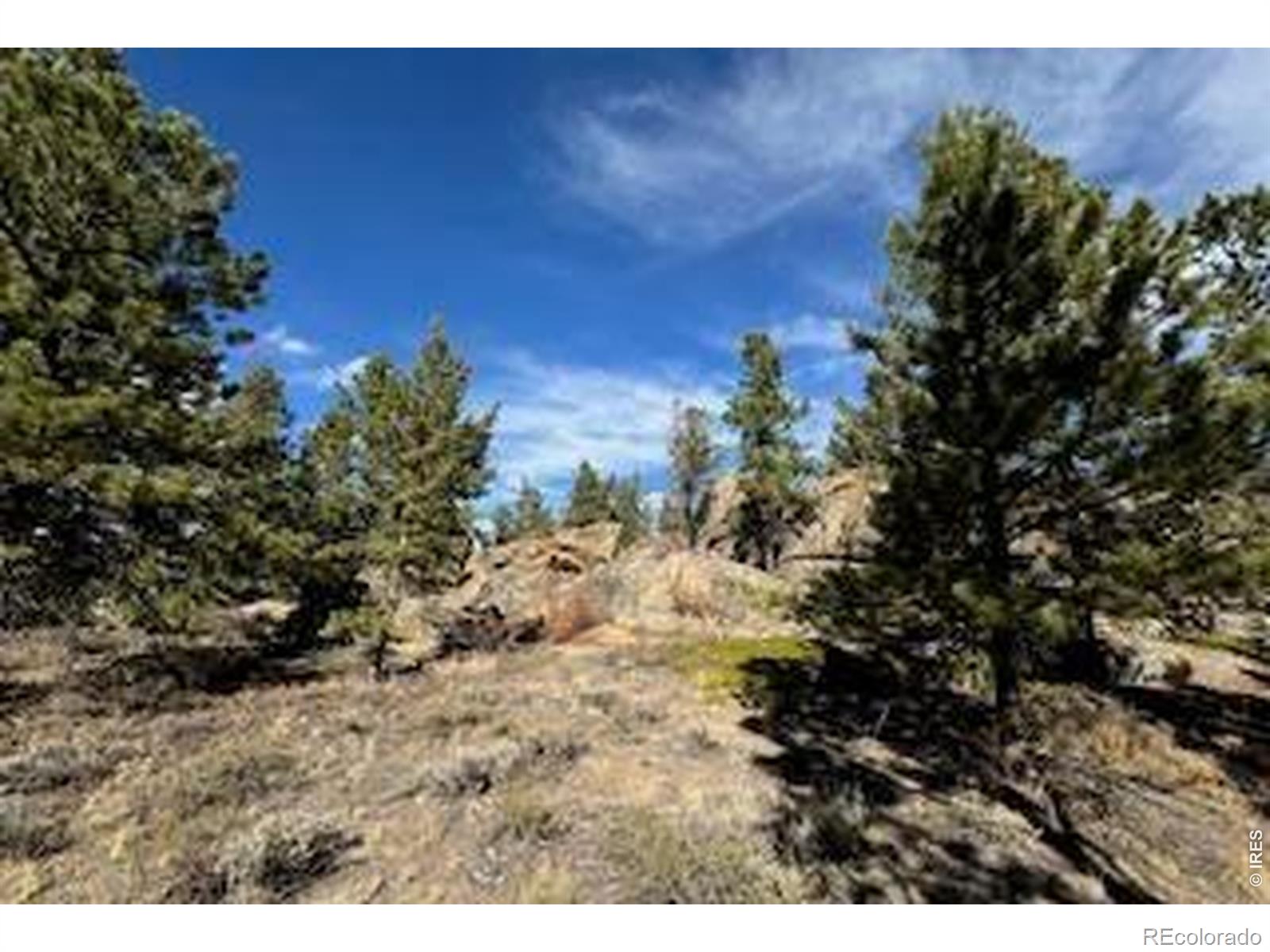 2921 Fox Acres Drive E Red Feather Lakes CO 80545