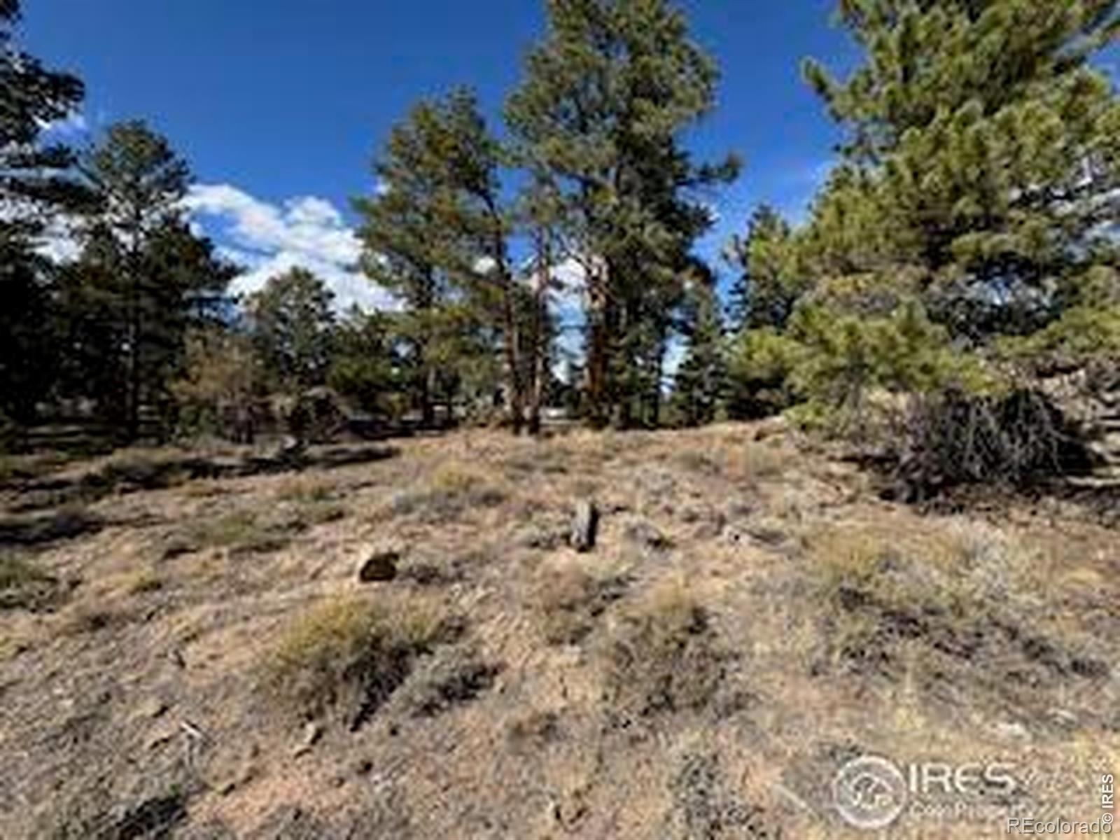 2921 Fox Acres Drive E Red Feather Lakes CO 80545
