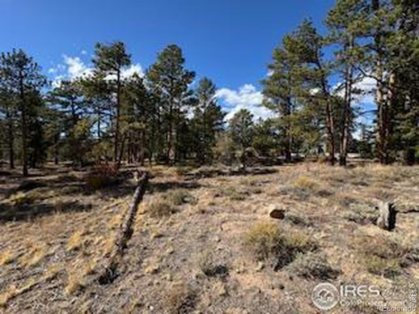 2921 Fox Acres Drive E Red Feather Lakes CO 80545