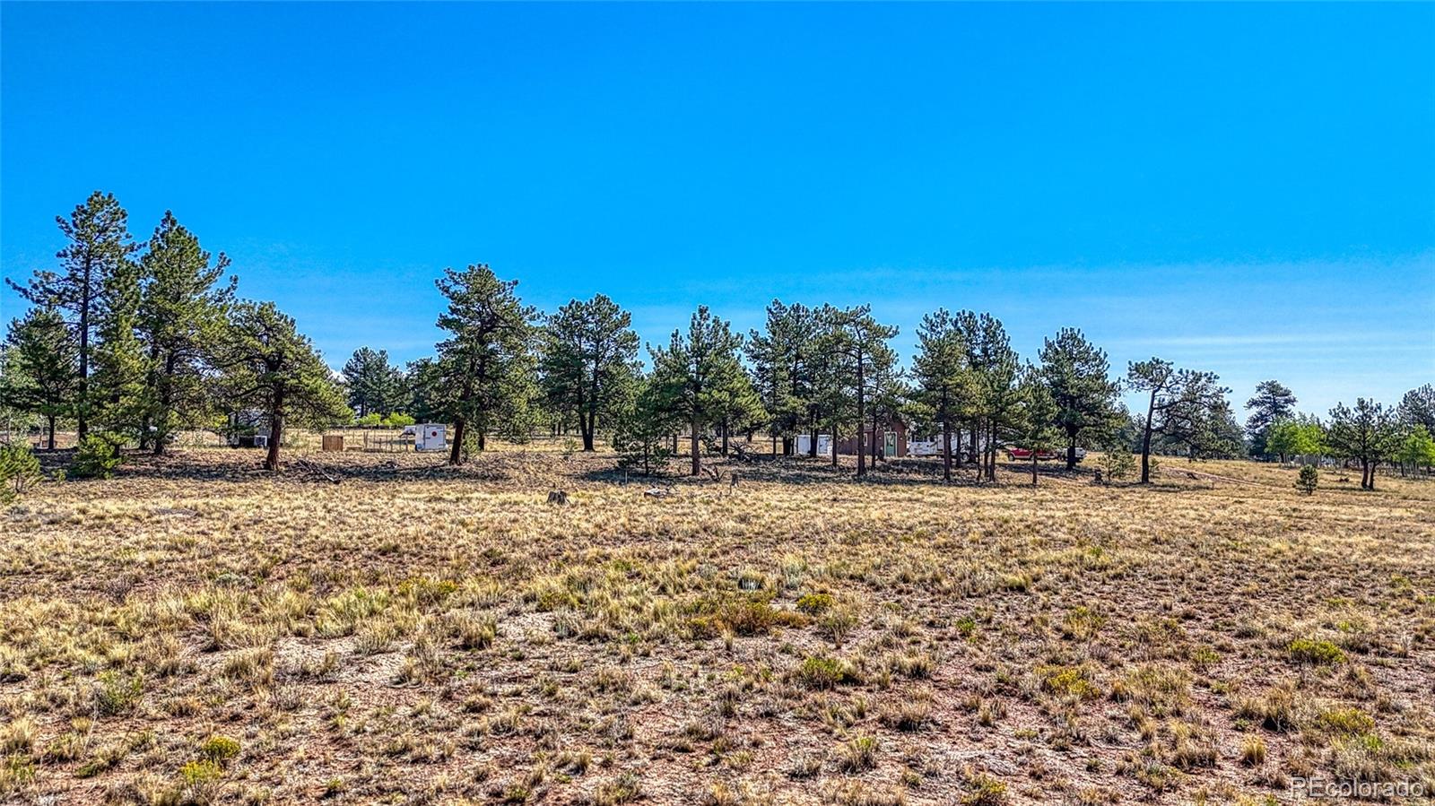 2538 Windmill Drive Hartsel CO 80449