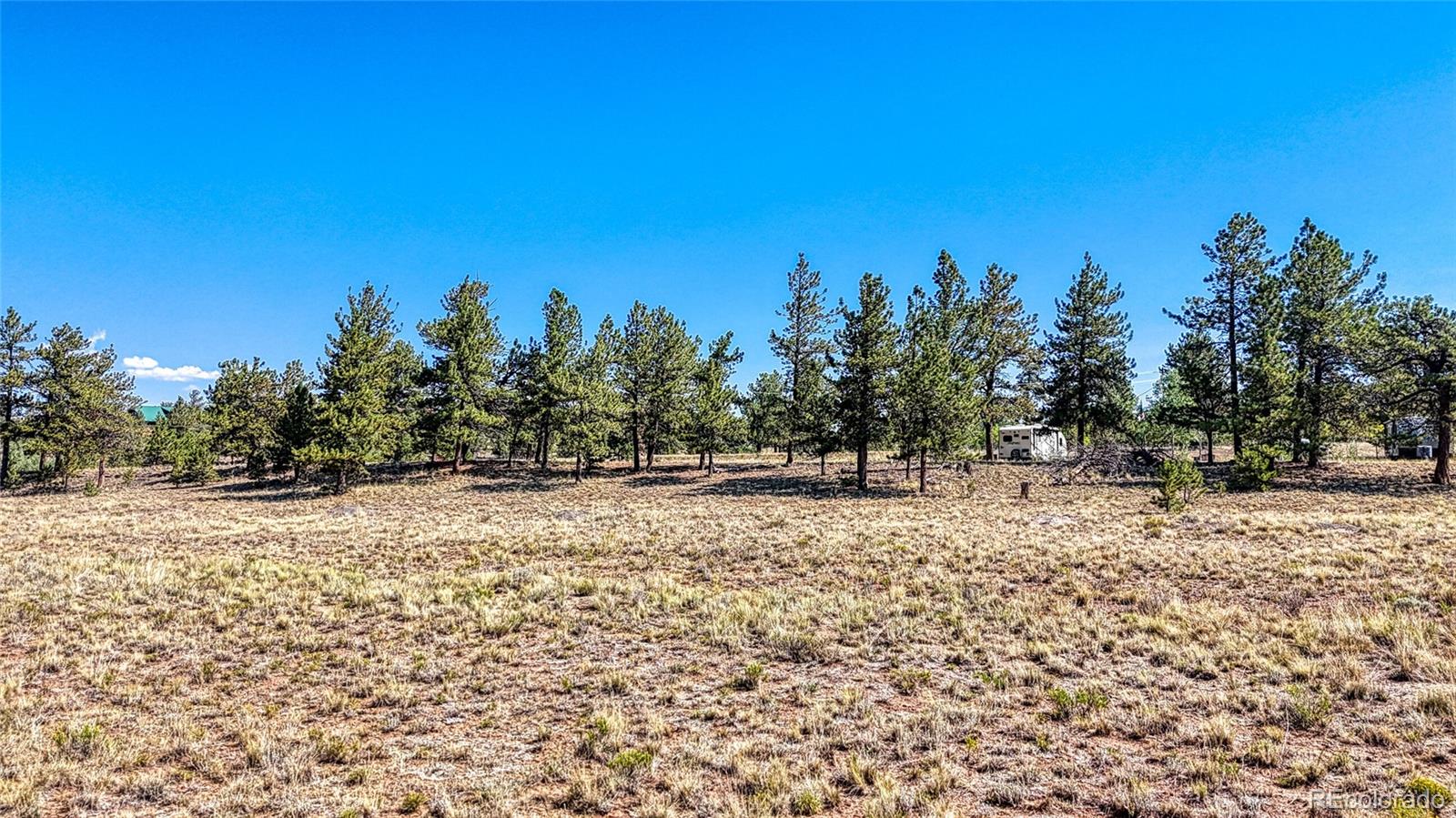 2538 Windmill Drive Hartsel CO 80449