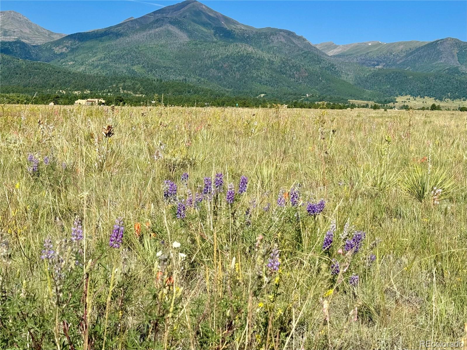 5151 County Road 160 Westcliffe CO 81252