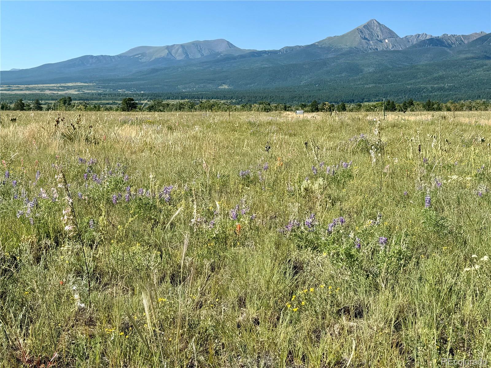 5151 County Road 160 Westcliffe CO 81252
