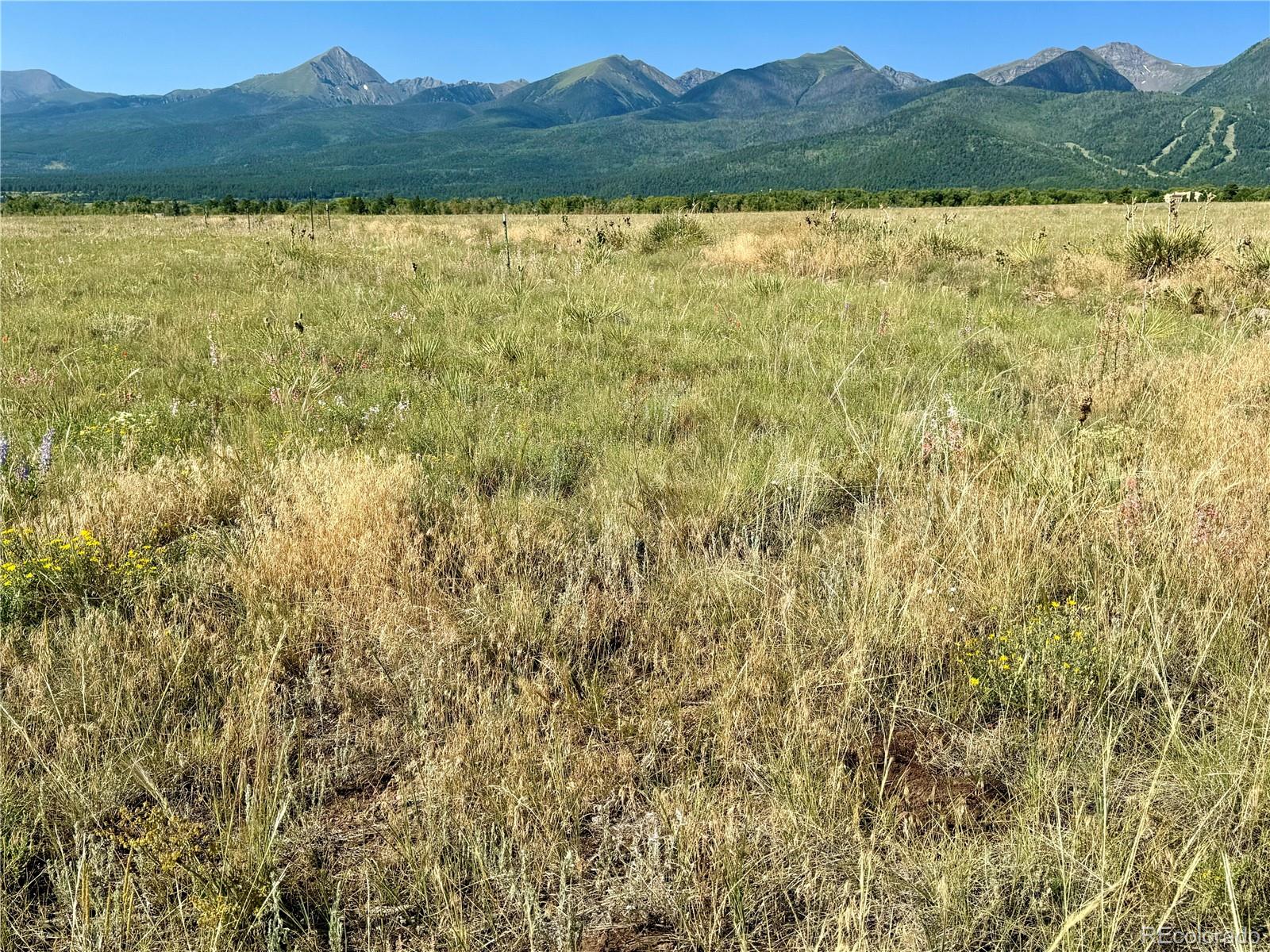 5151 County Road 160 Westcliffe CO 81252