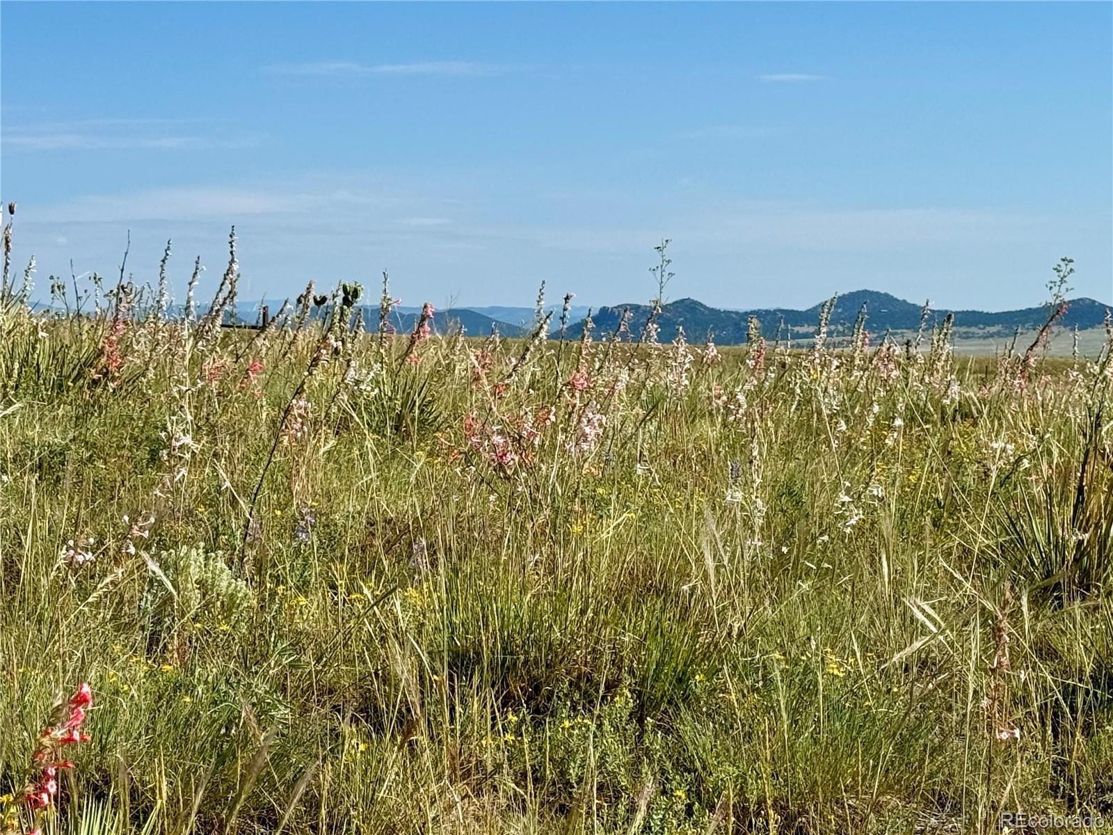 5151 County Road 160 Westcliffe CO 81252