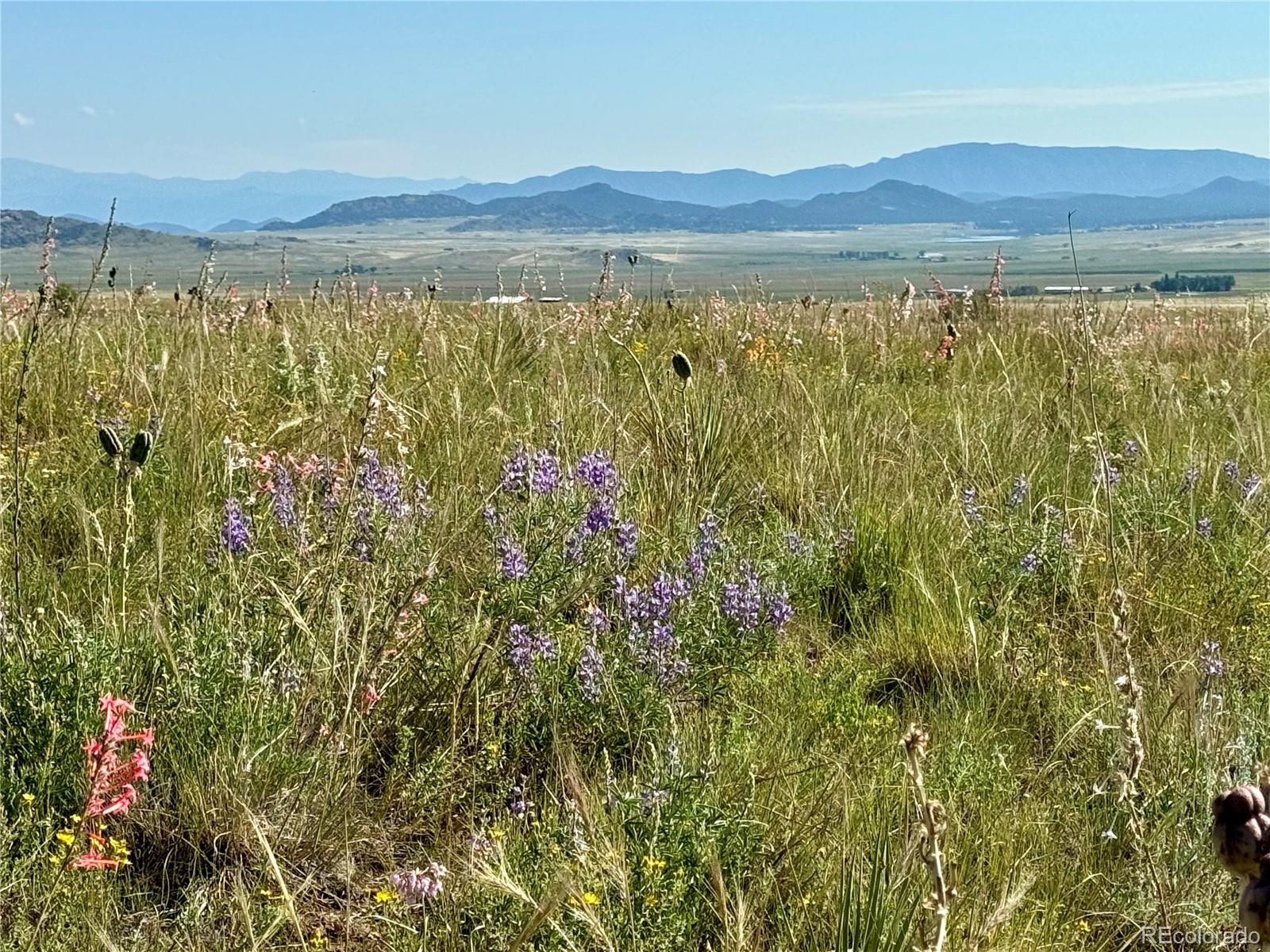 5151 County Road 160 Westcliffe CO 81252