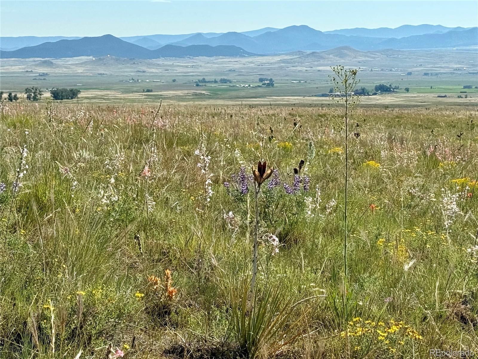 5151 County Road 160 Westcliffe CO 81252