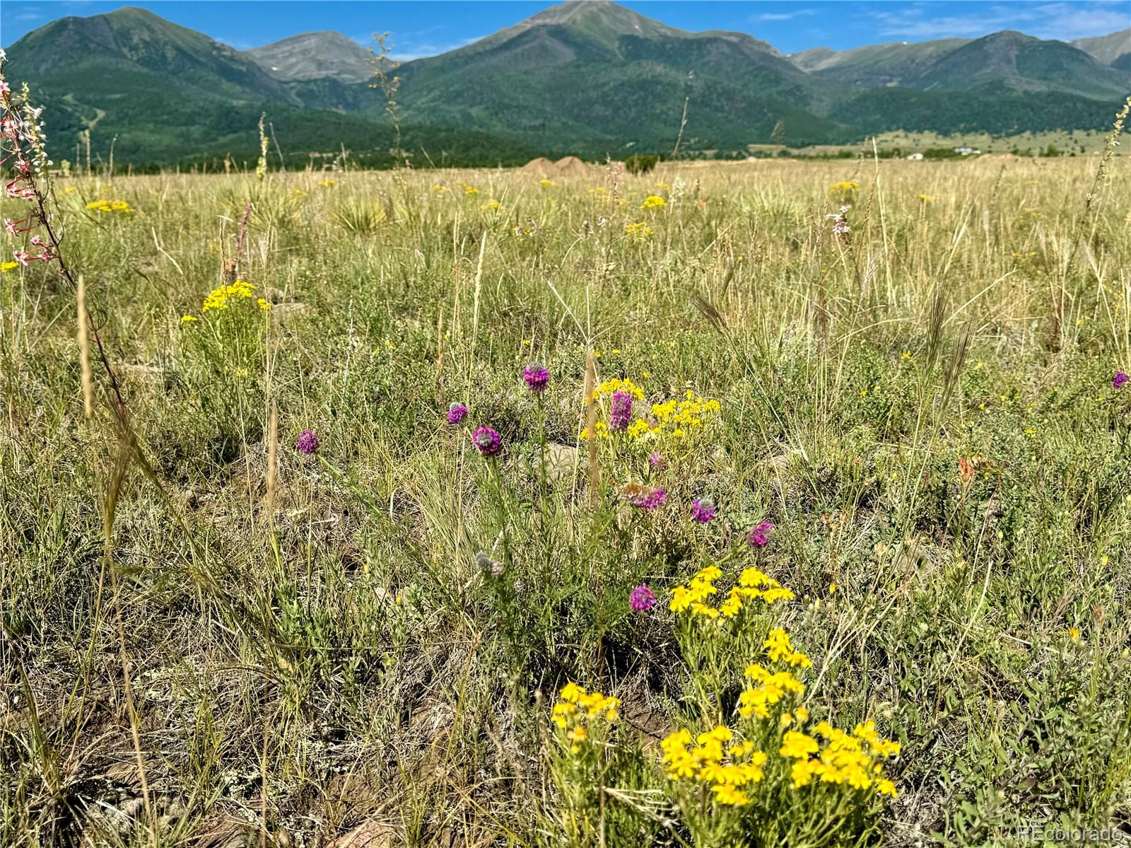 5151 County Road 160 Westcliffe CO 81252