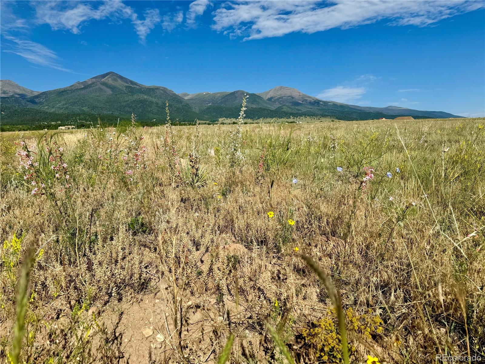 5151 County Road 160 Westcliffe CO 81252