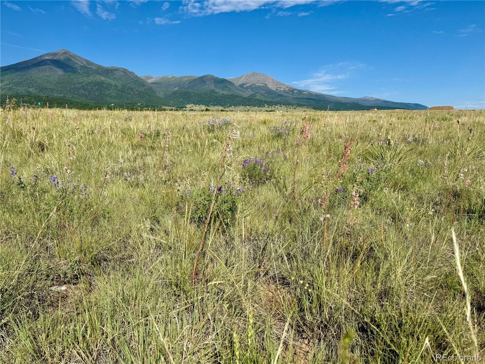 5151 County Road 160 Westcliffe CO 81252