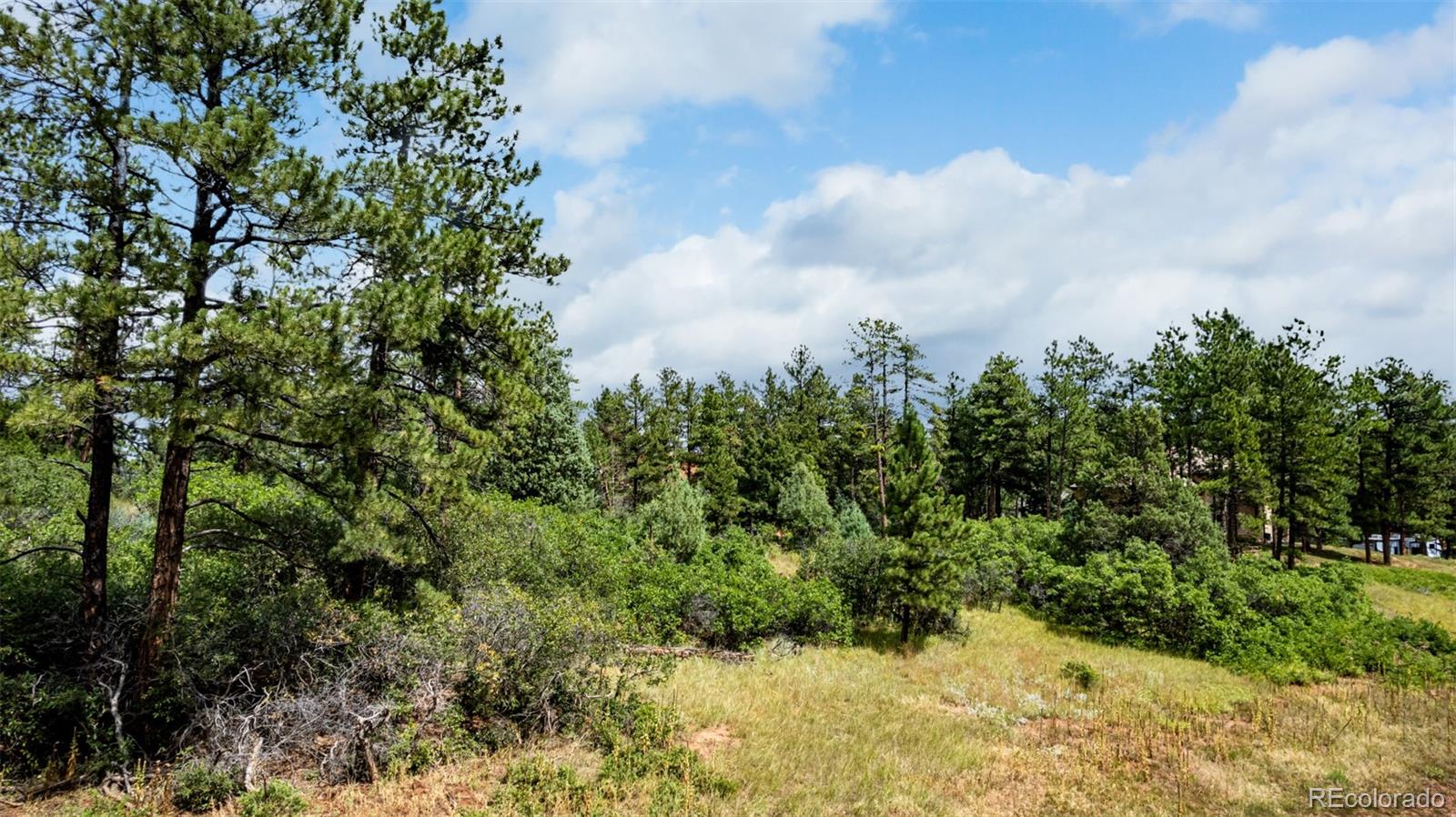 8160 Bannock Drive Larkspur CO 80118