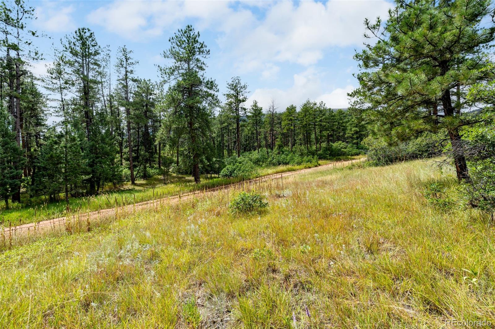 8160 Bannock Drive Larkspur CO 80118