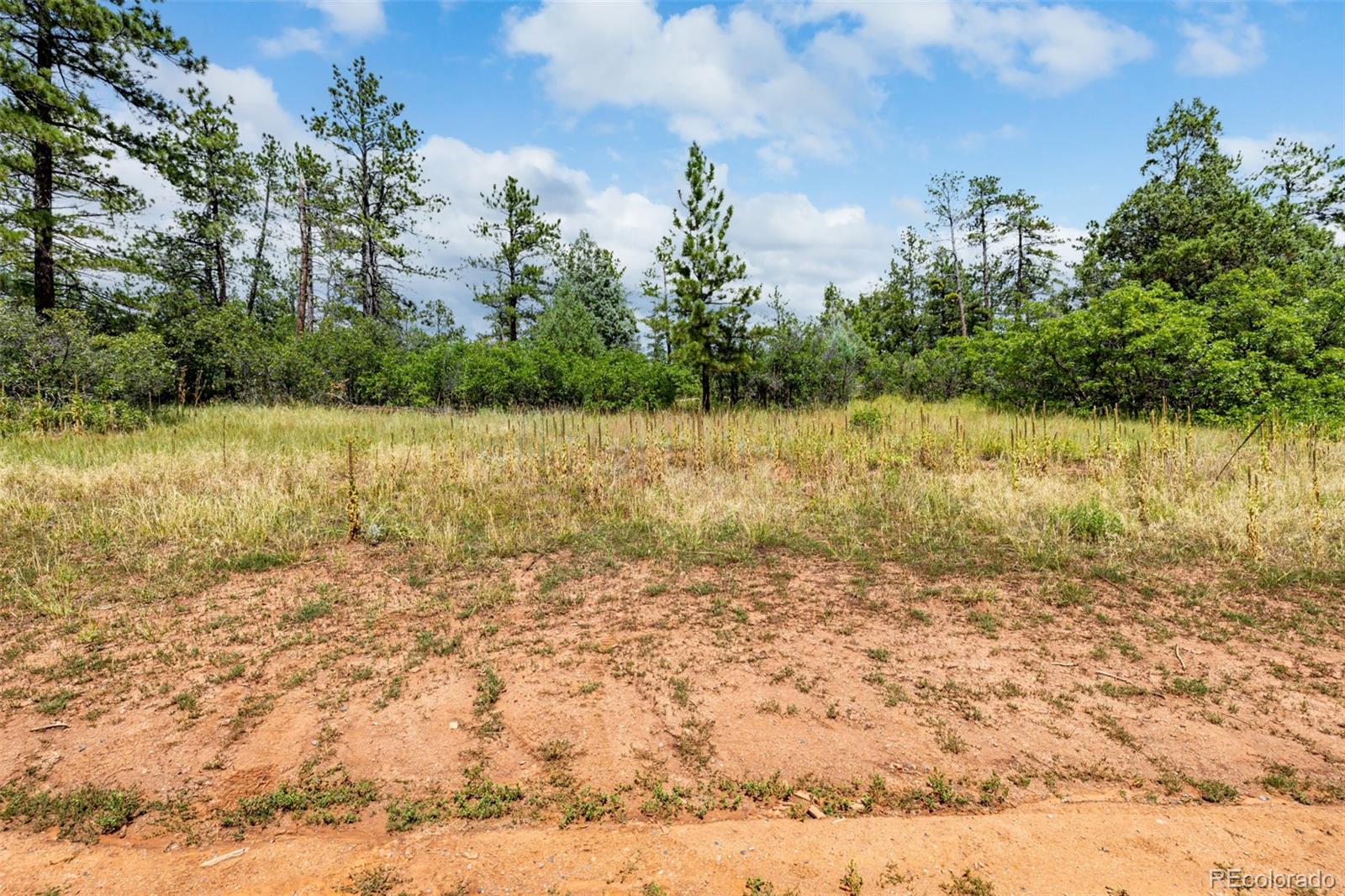 8160 Bannock Drive Larkspur CO 80118