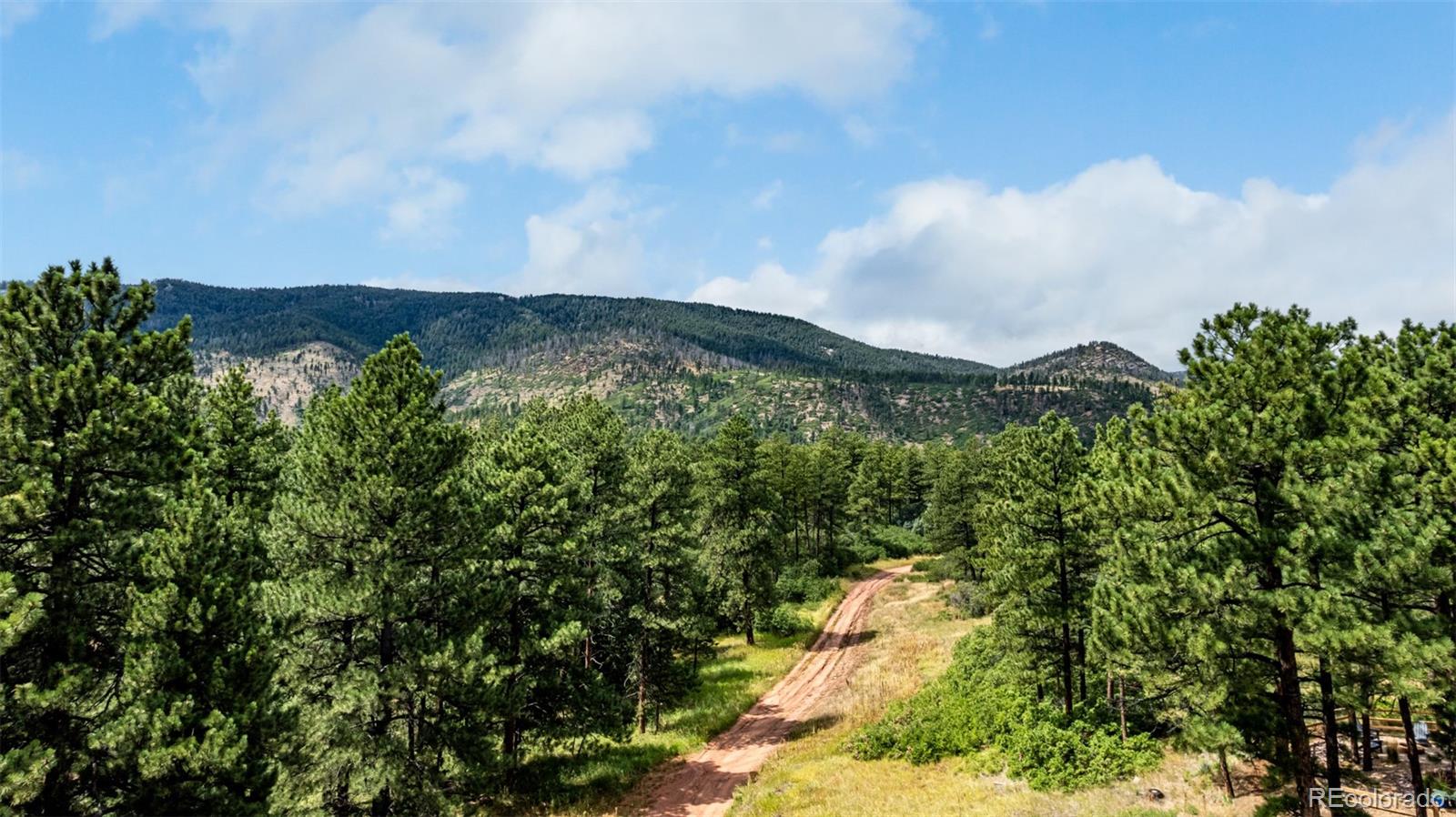 8160 Bannock Drive Larkspur CO 80118