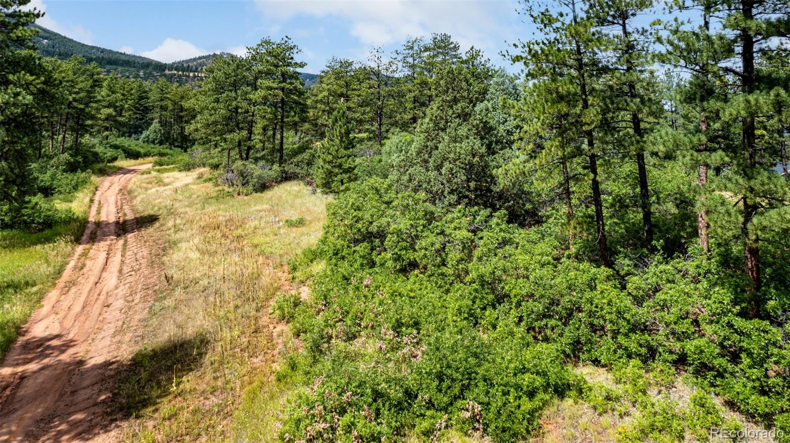 8160 Bannock Drive Larkspur CO 80118