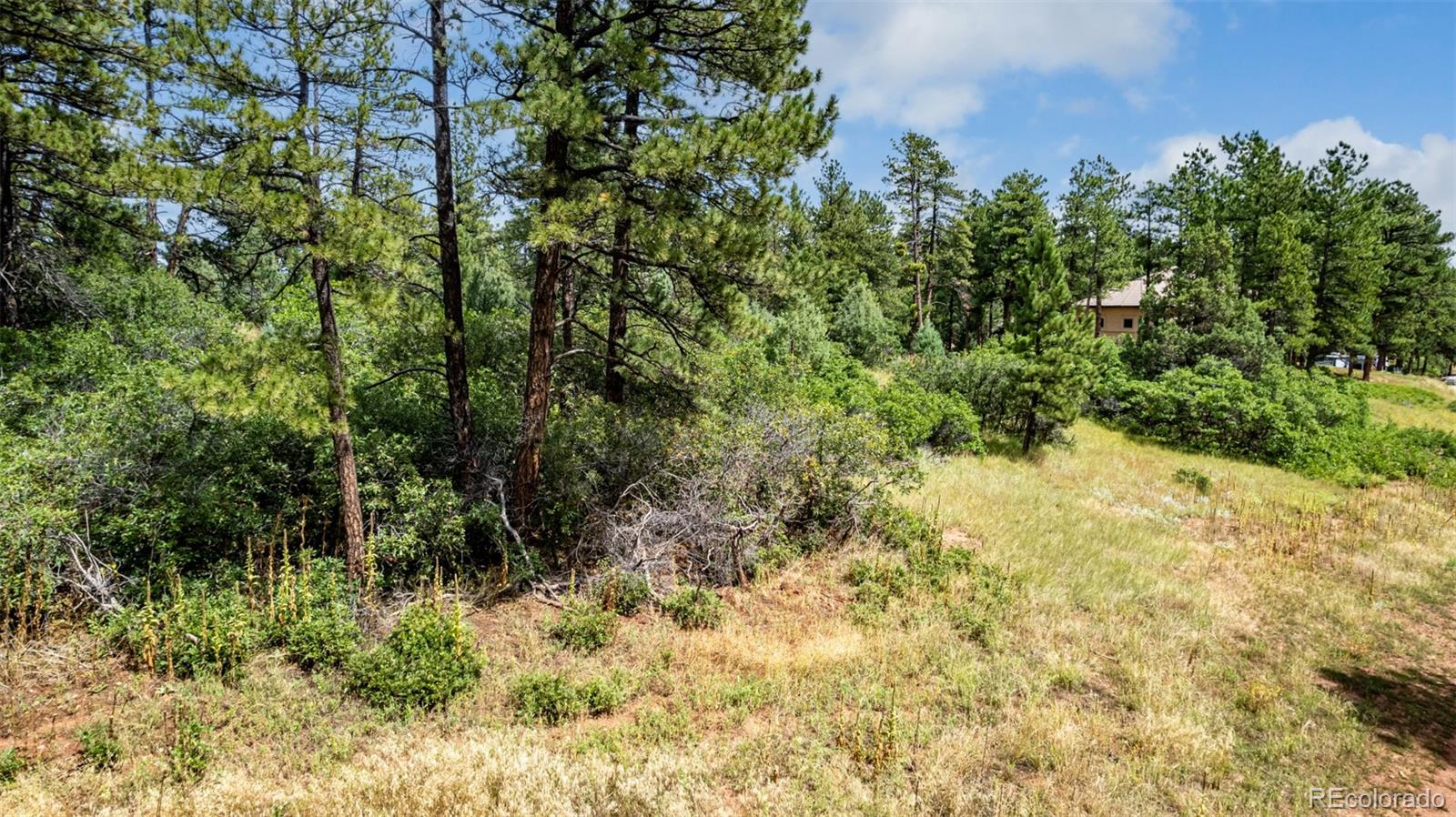 8160 Bannock Drive Larkspur CO 80118