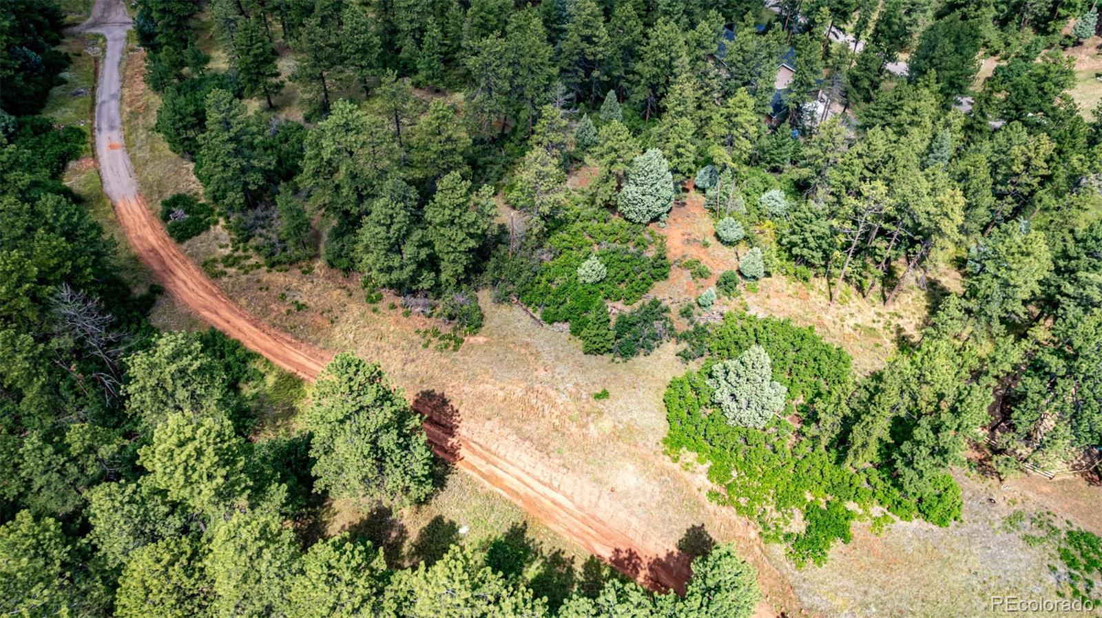 8160 Bannock Drive Larkspur CO 80118