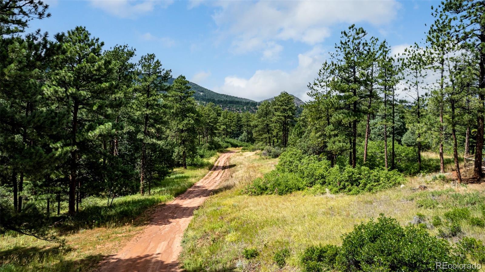 8160 Bannock Drive Larkspur CO 80118