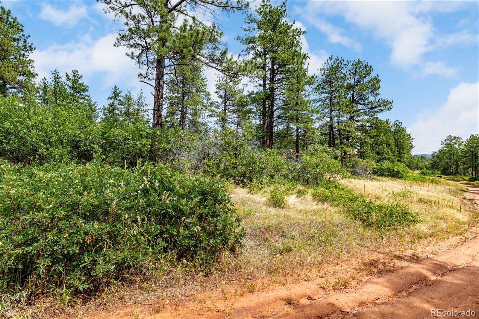 8160 Bannock Drive Larkspur CO 80118