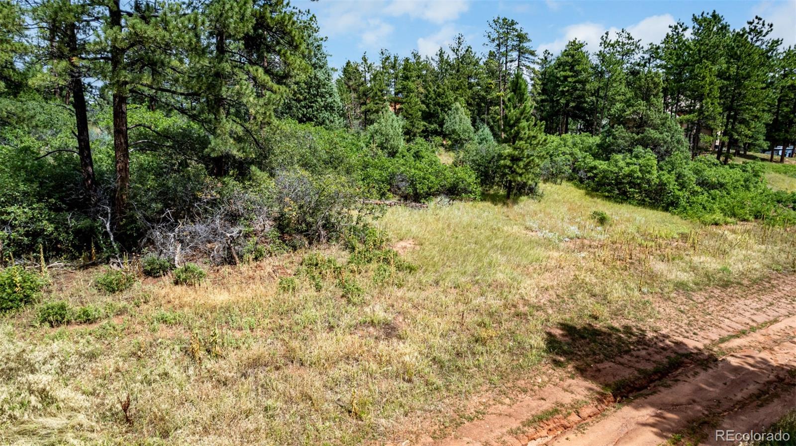 8160 Bannock Drive Larkspur CO 80118