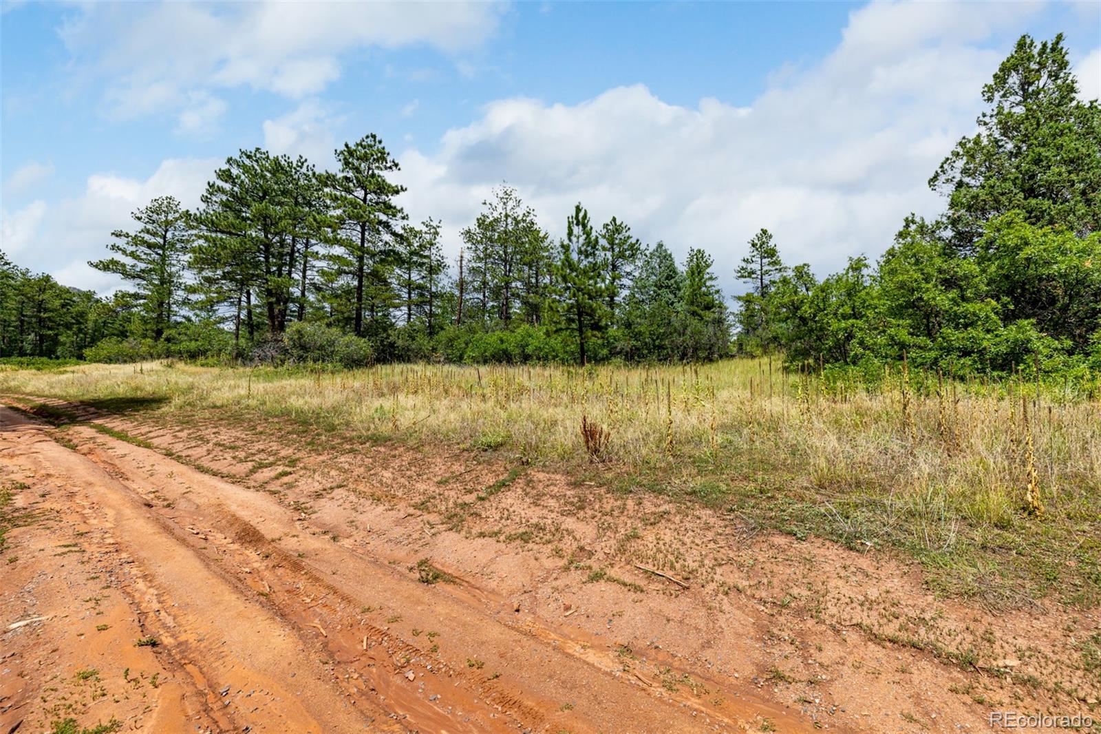 8160 Bannock Drive Larkspur CO 80118