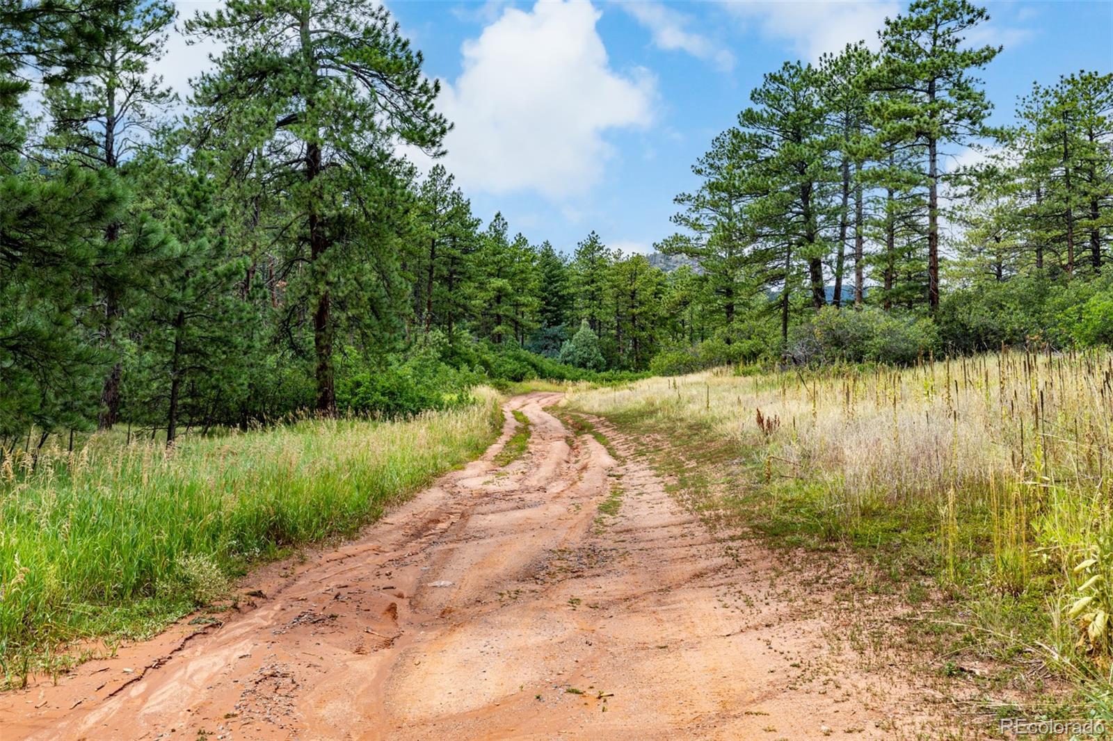 8160 Bannock Drive Larkspur CO 80118