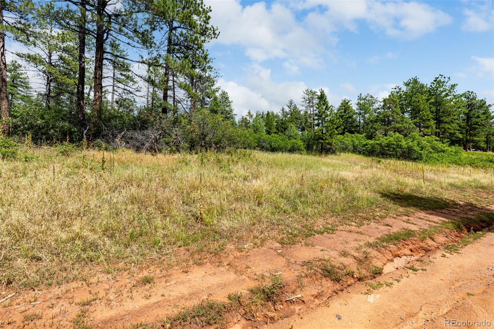 8160 Bannock Drive Larkspur CO 80118
