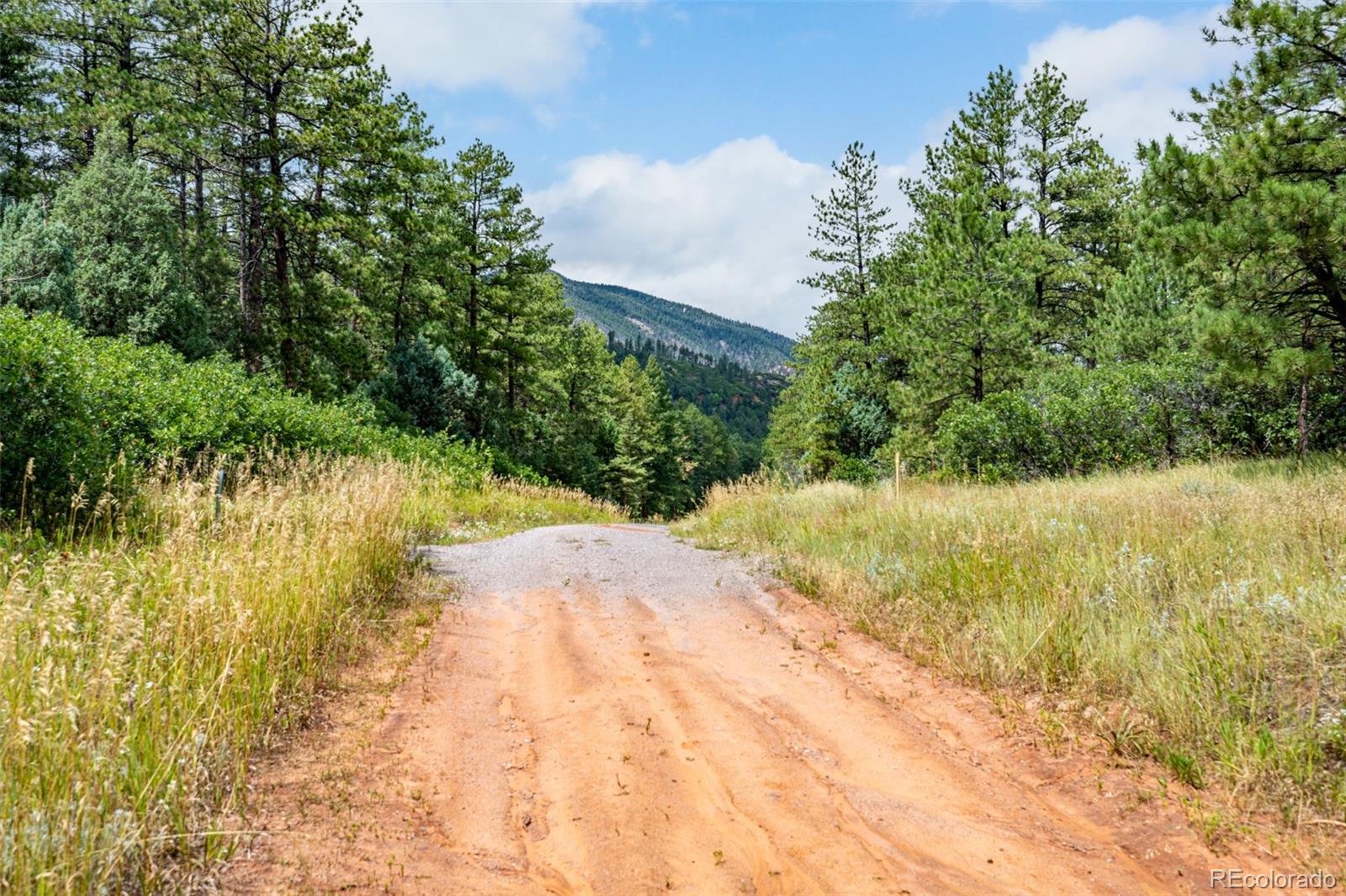 8160 Bannock Drive Larkspur CO 80118