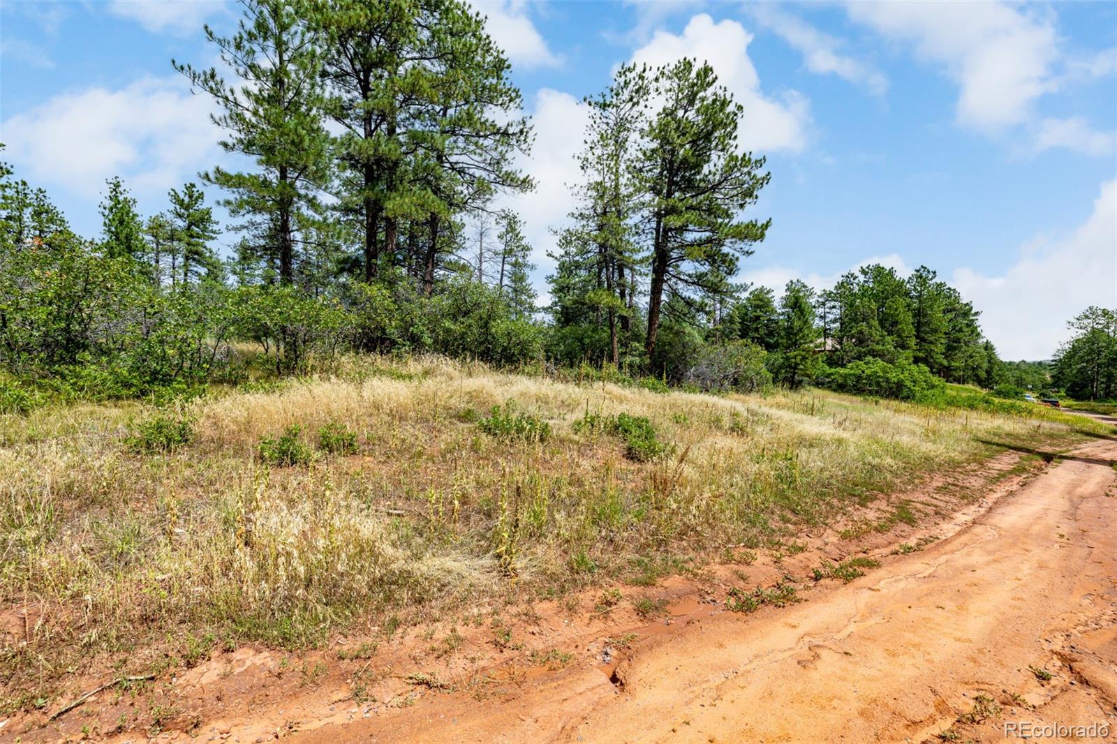 8160 Bannock Drive Larkspur CO 80118